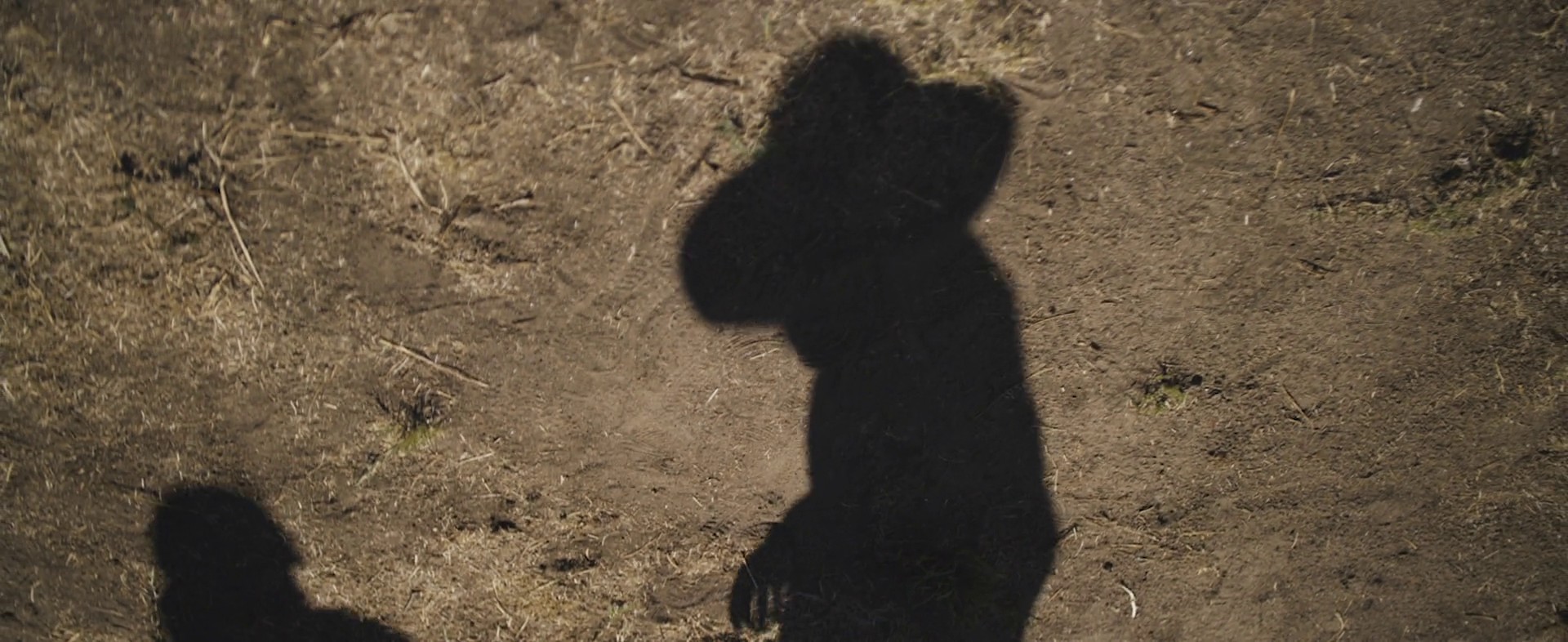 Coronus, The Terminator (2015) —  shot,  lighting