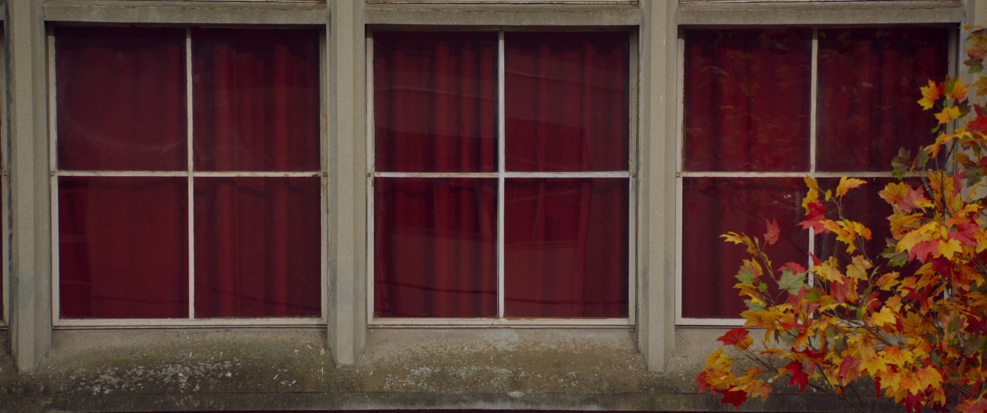 Peter von Kant (2022) —  shot,  lighting