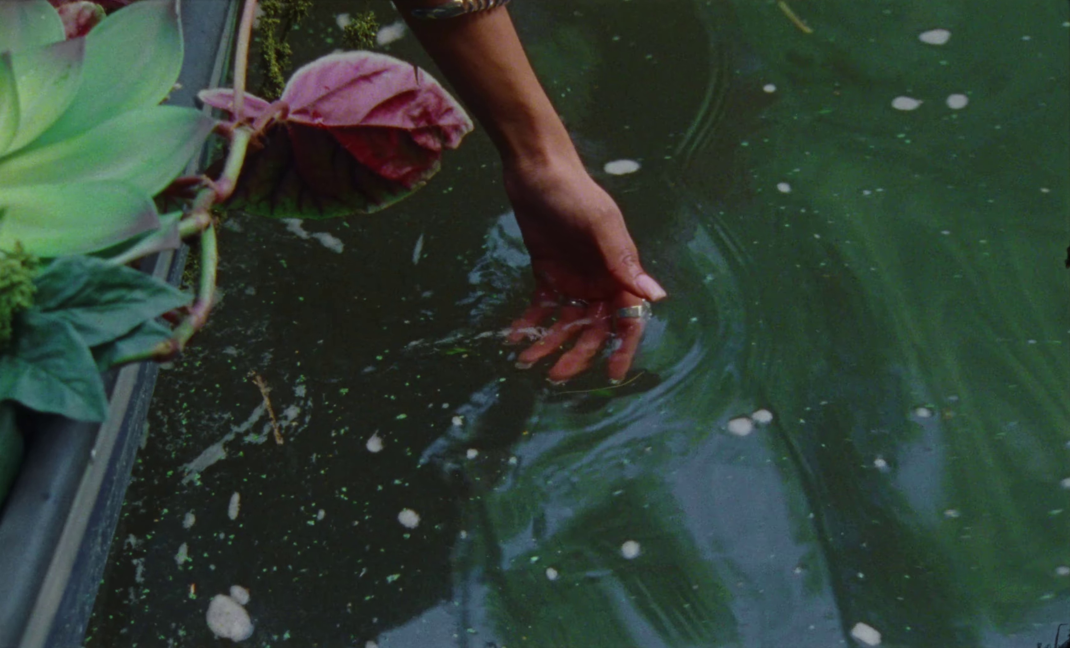 Little Blue Moon (2023) —  shot,  lighting