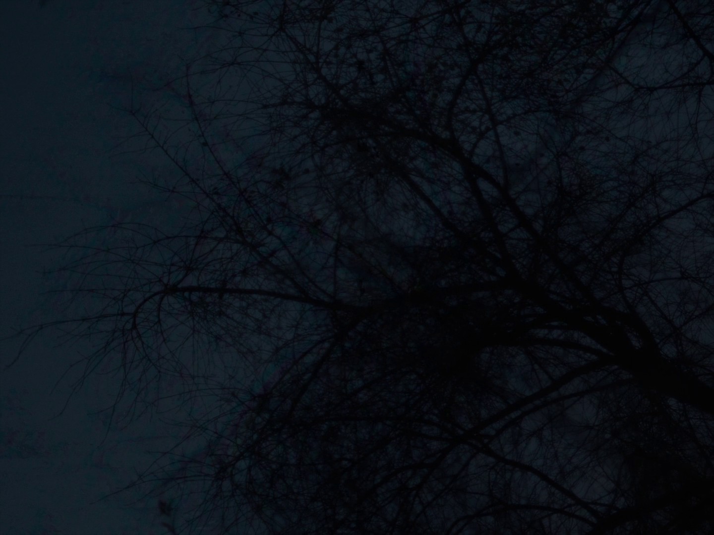 The Trouble with Being Born (2020) —  shot,  lighting