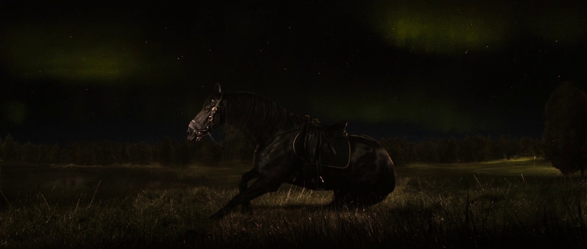 Melancholia (2011) —  shot,  lighting