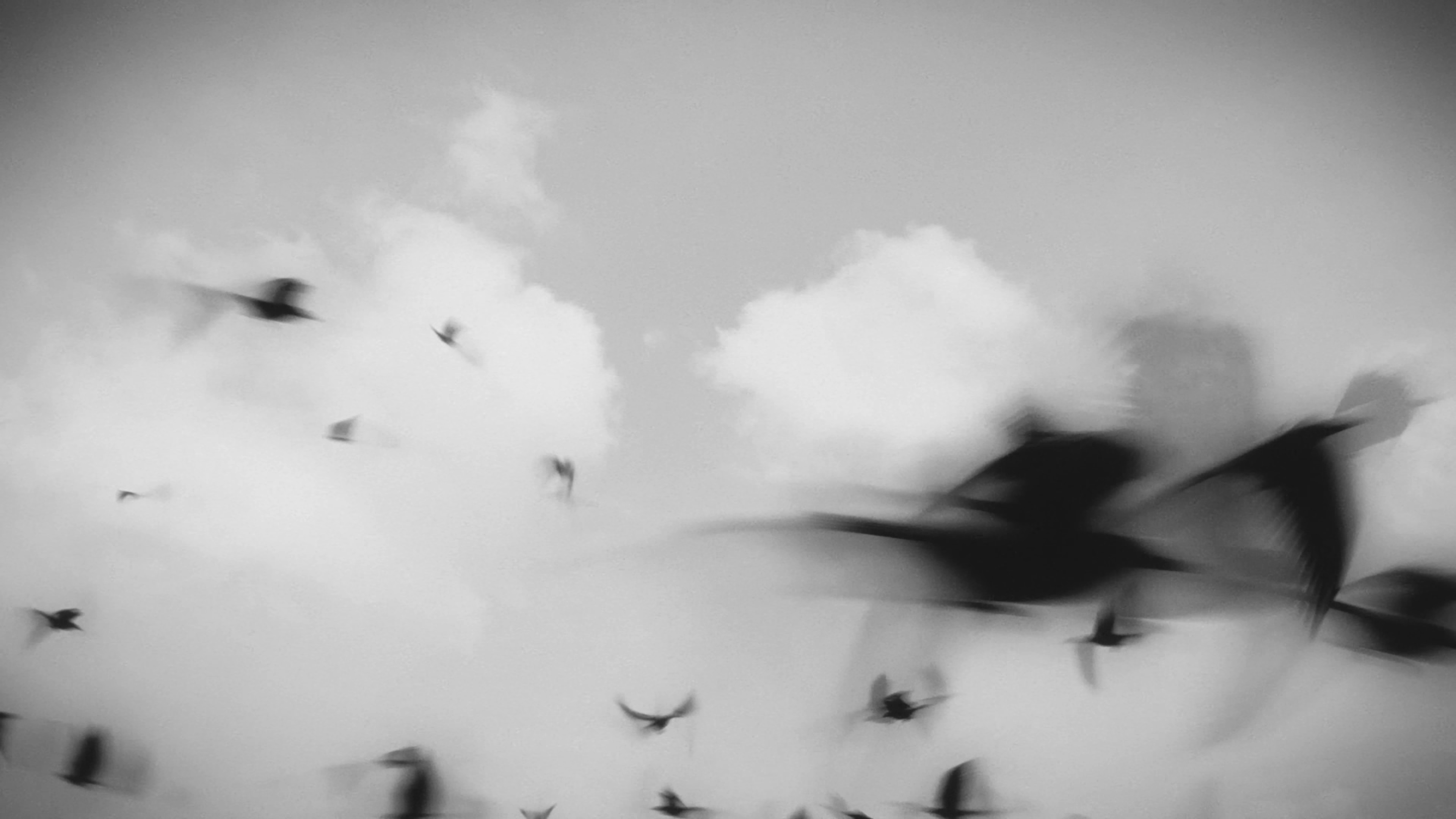 Can't Go Back (2023) —  shot,  lighting