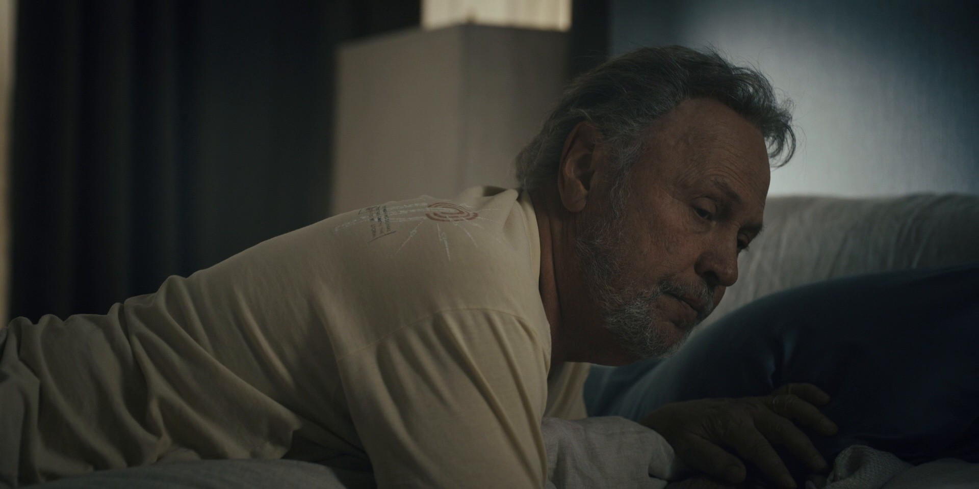 The Imposter (2024) —  shot,  lighting