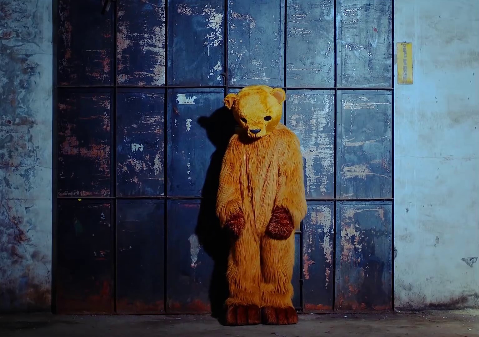 Don't know you (2017) —  shot,  lighting