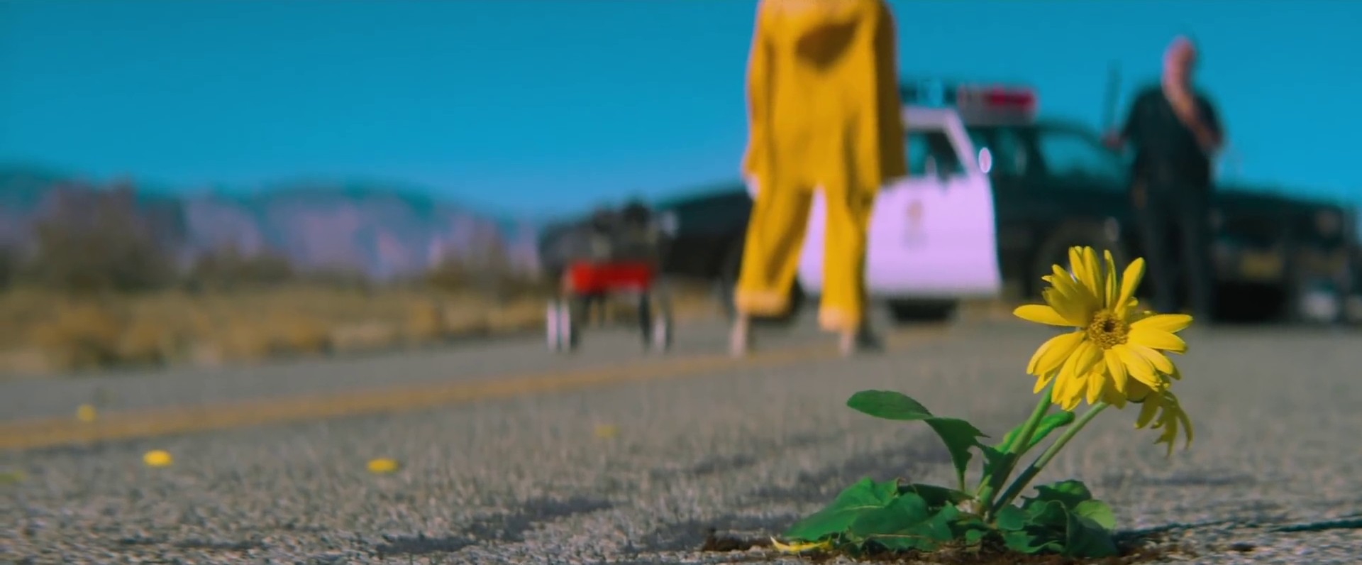 Bellyache (2017) —  shot,  lighting