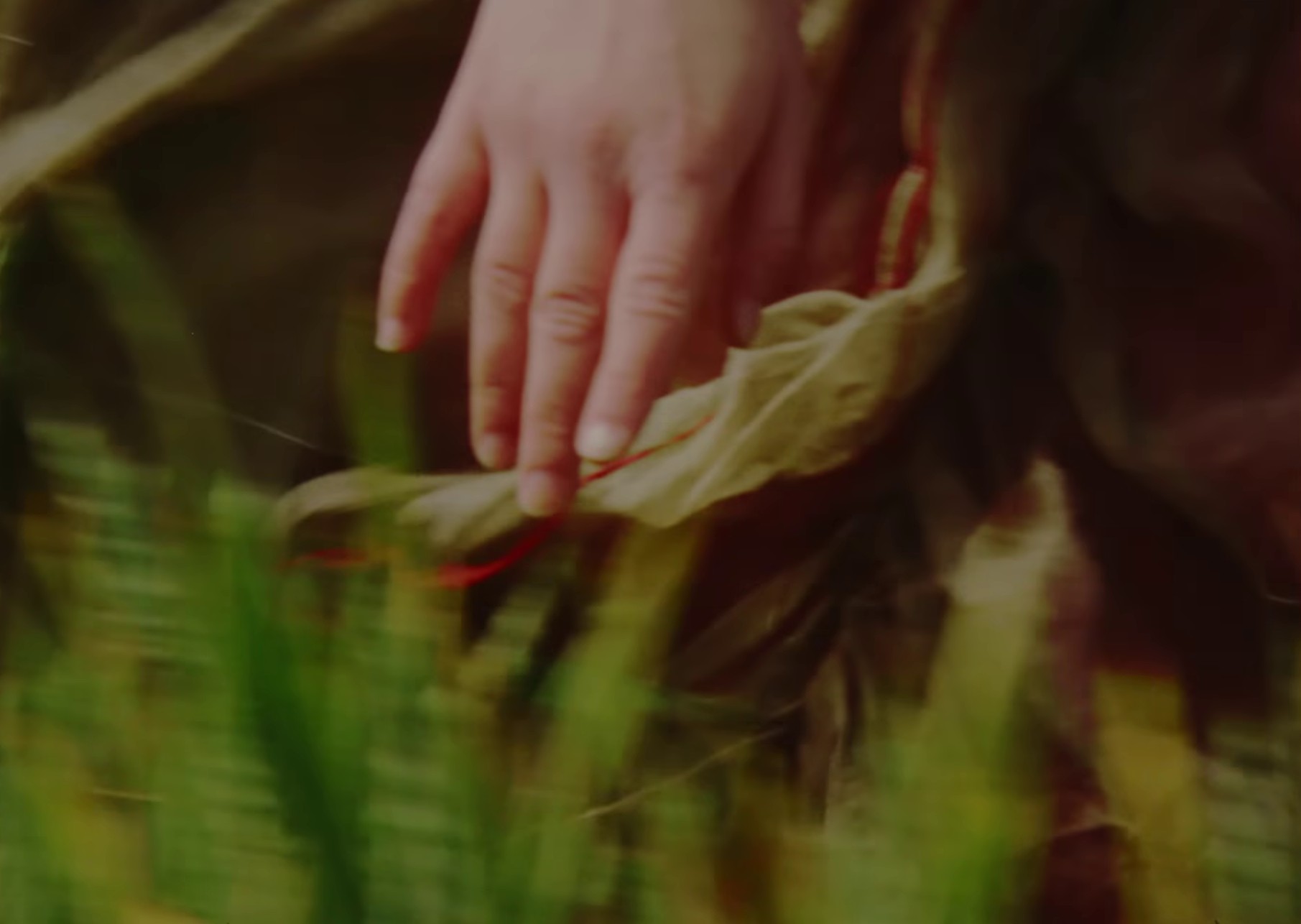 Yeti (2023) —  shot,  lighting