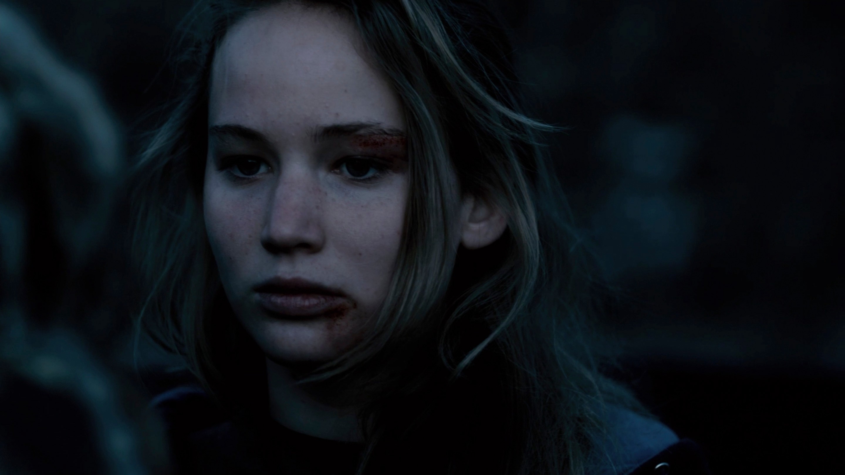 Winter's Bone (2010) —  shot,  lighting