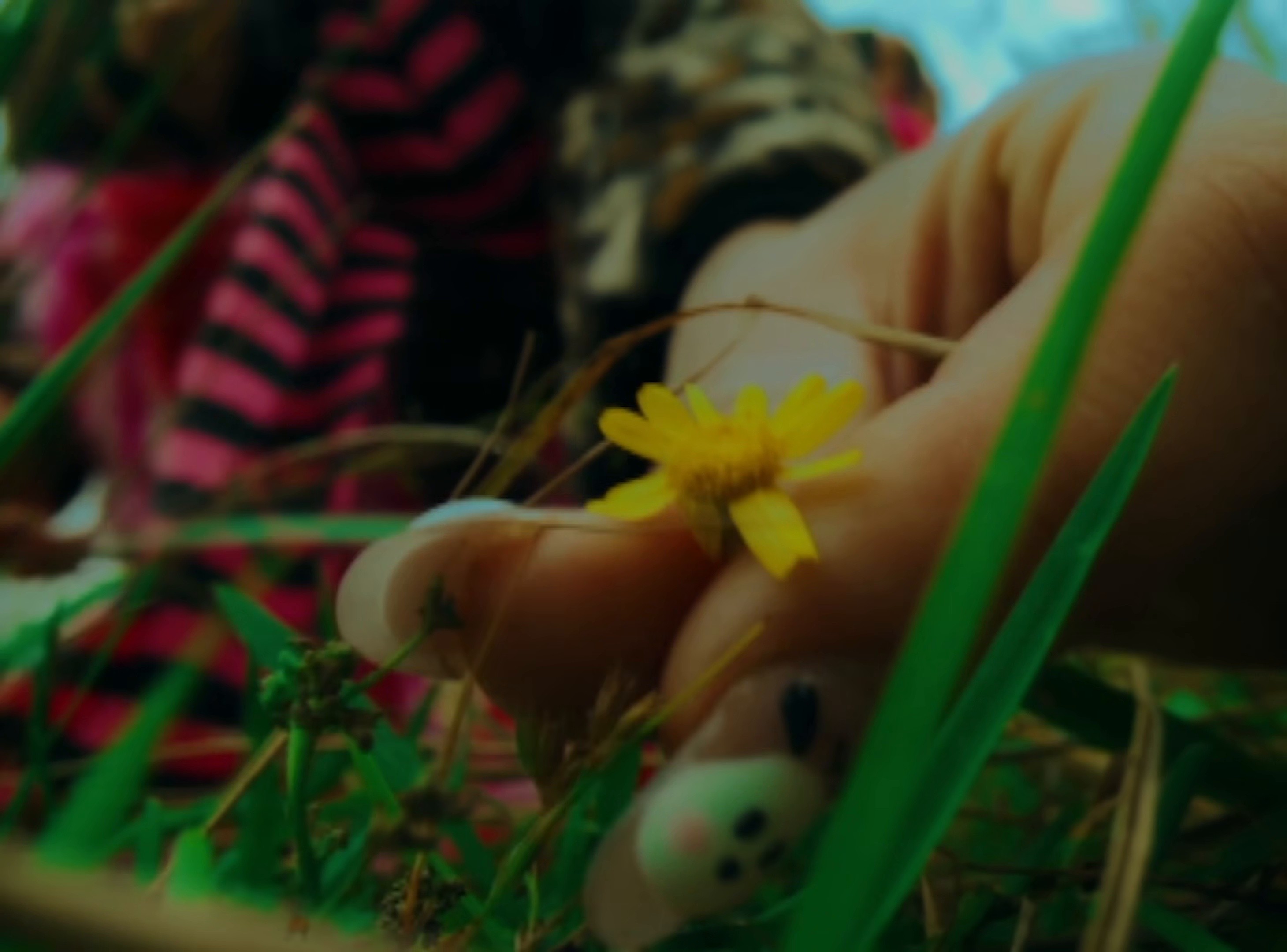 Animal (2024) —  shot,  lighting