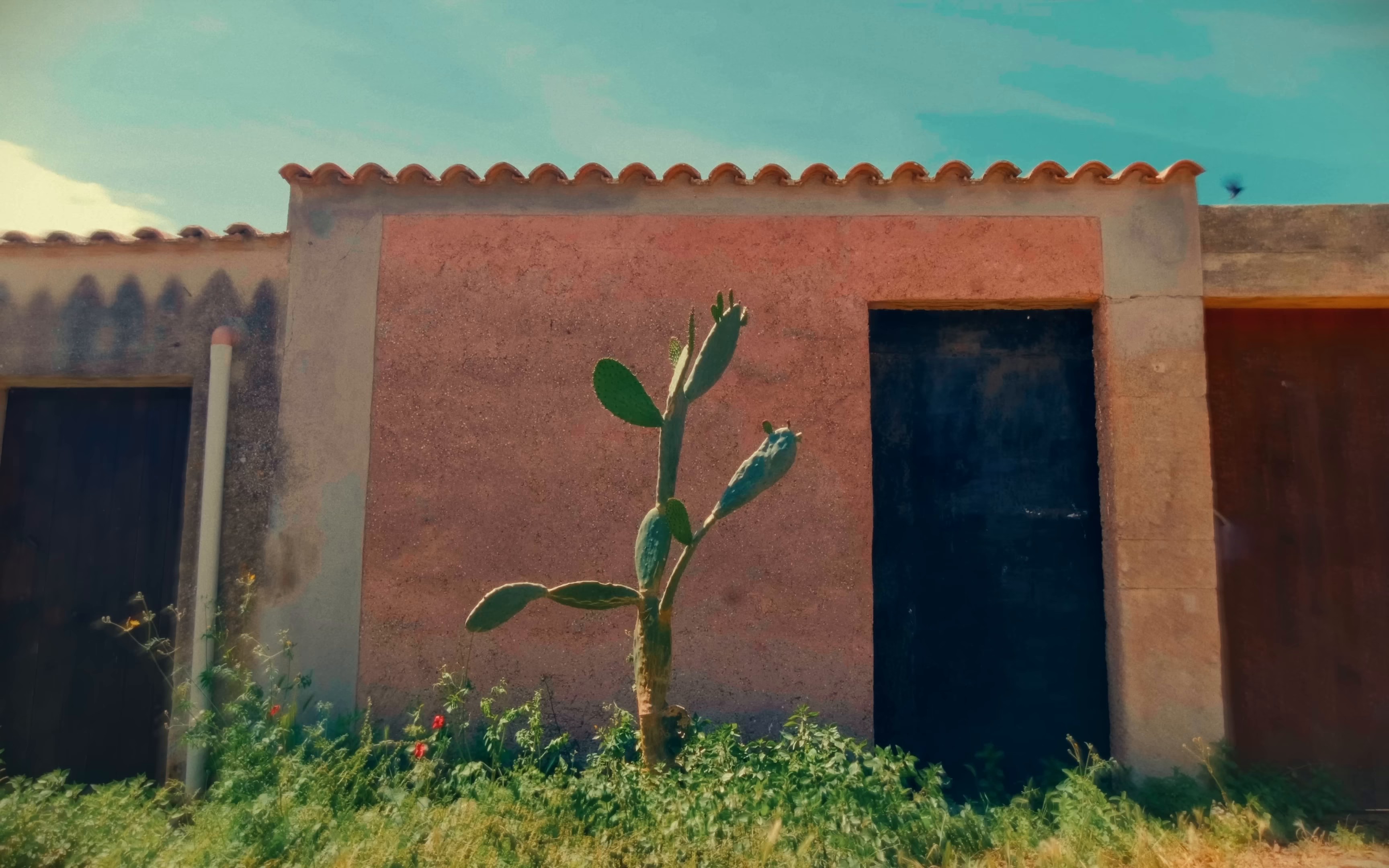 Gocce di Limone (2024) —  shot,  lighting