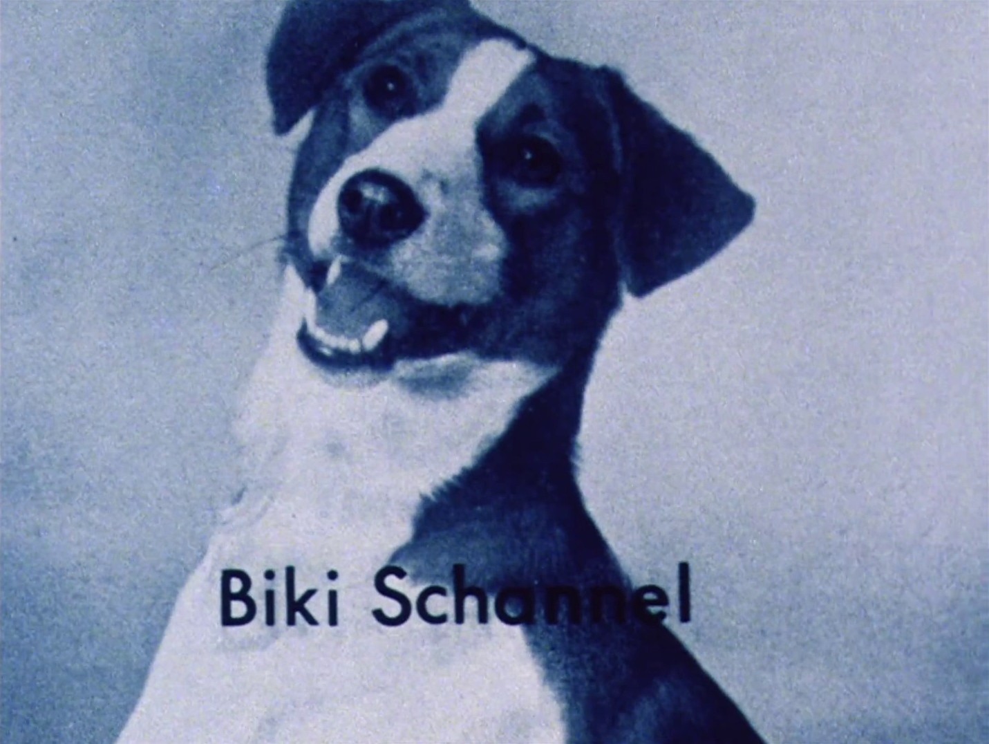 The Falls (1980) —  shot,  lighting