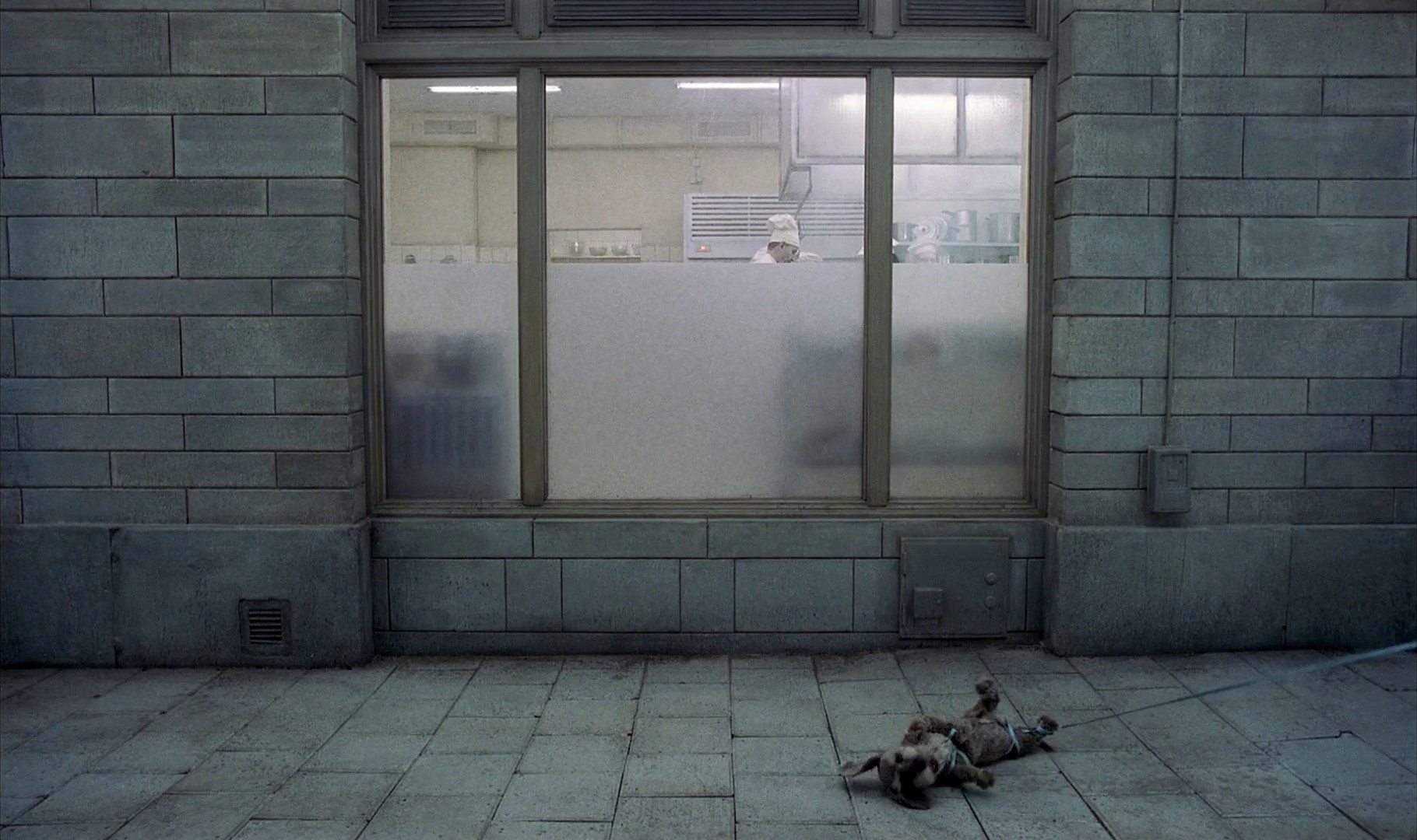 You, the Living (2007) —  shot,  lighting