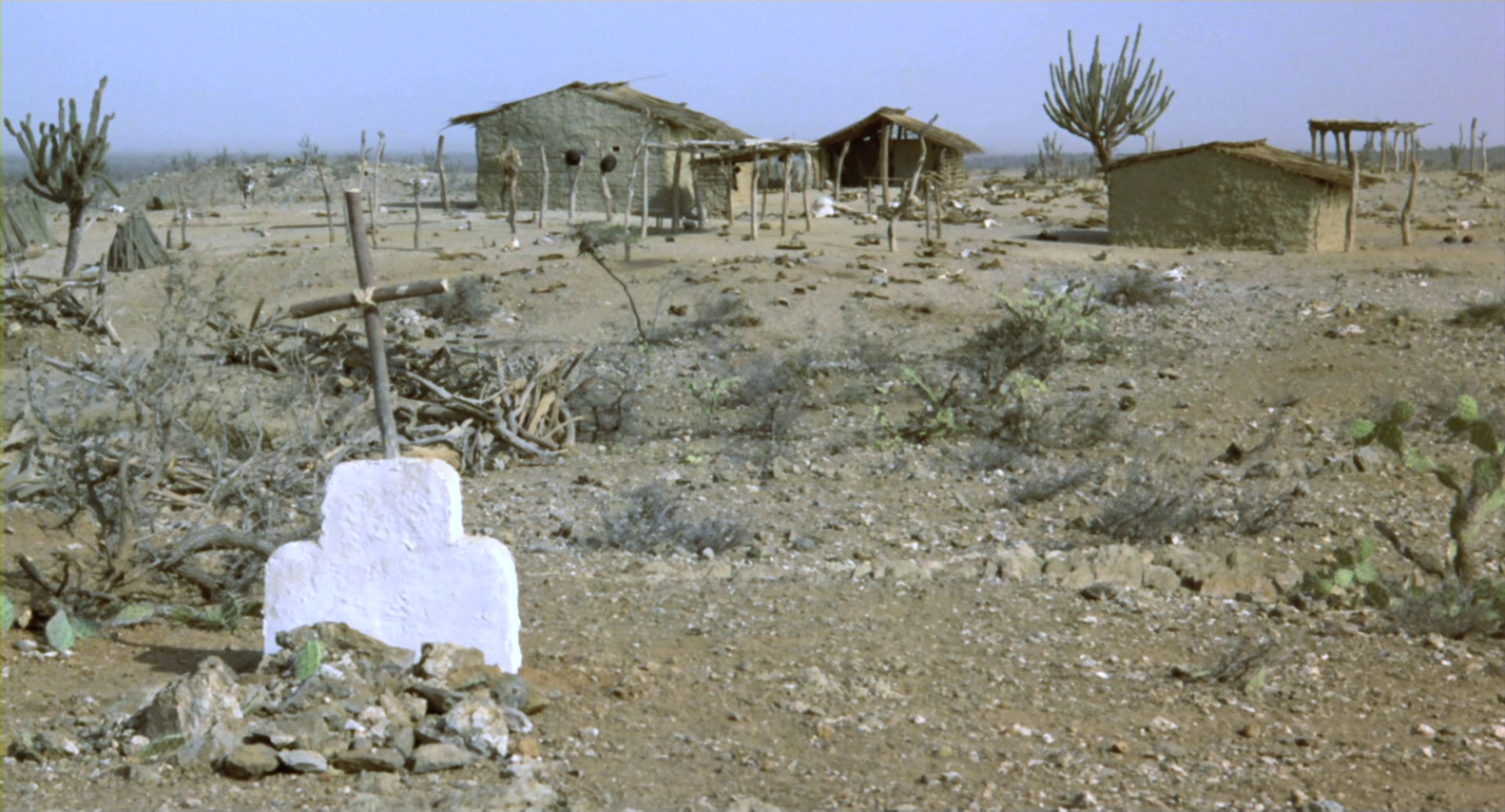 Cobra Verde (1987) —  shot,  lighting