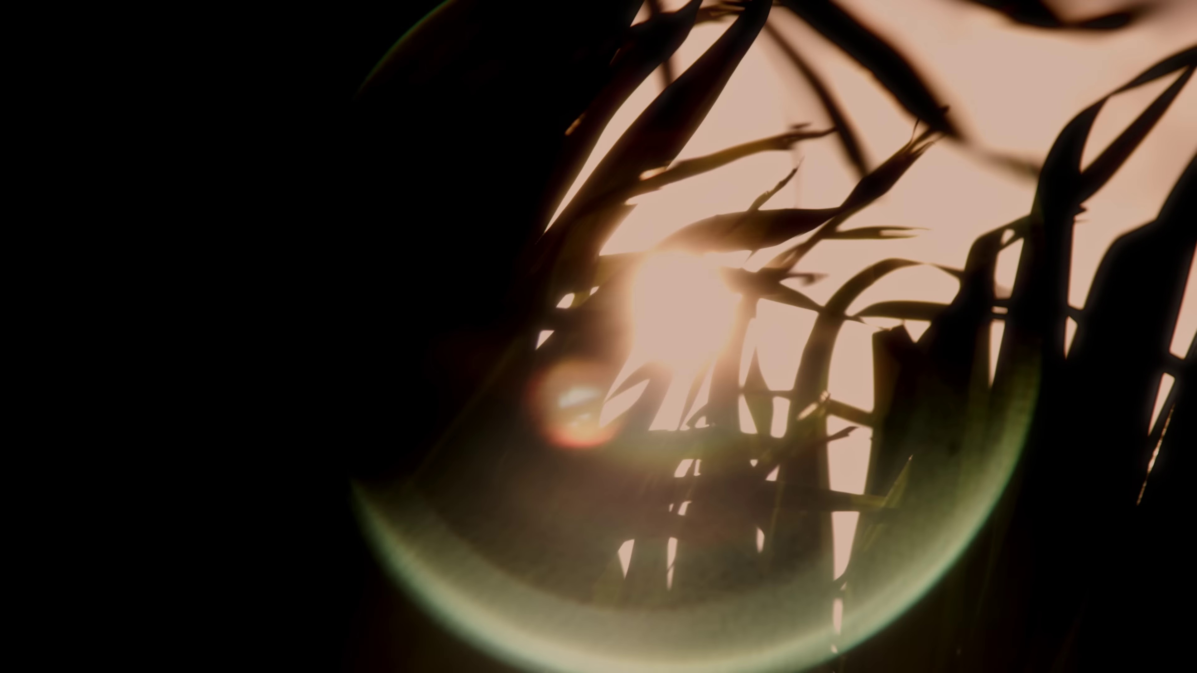 Brace It (2023) —  shot,  lighting