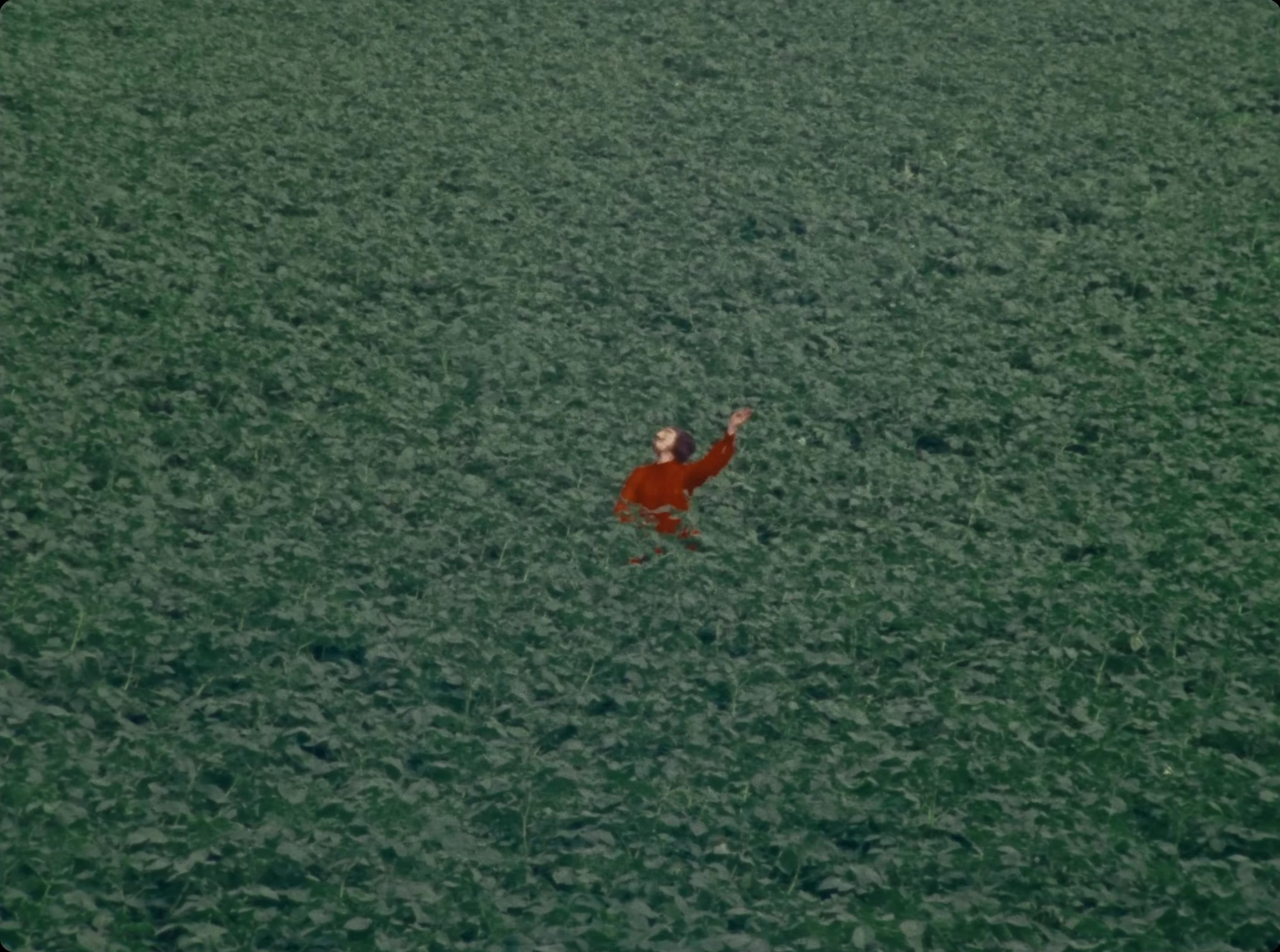 Lágrimas Cancioneras (2025) —  shot,  lighting