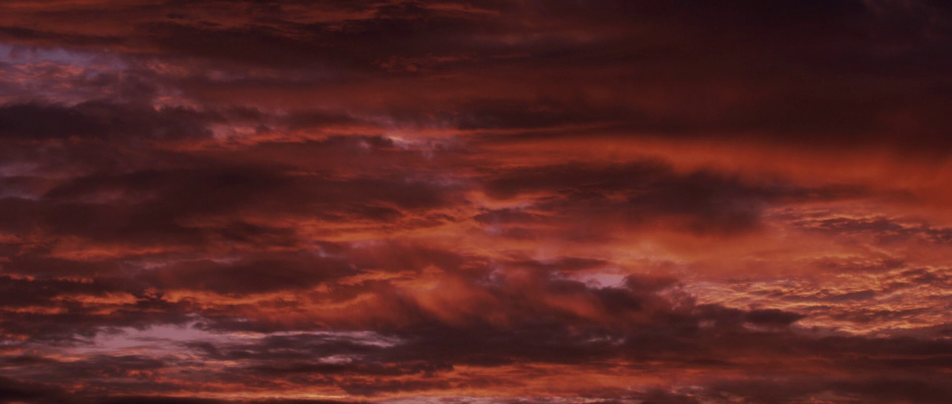 Secretariat (2011) —  shot,  lighting