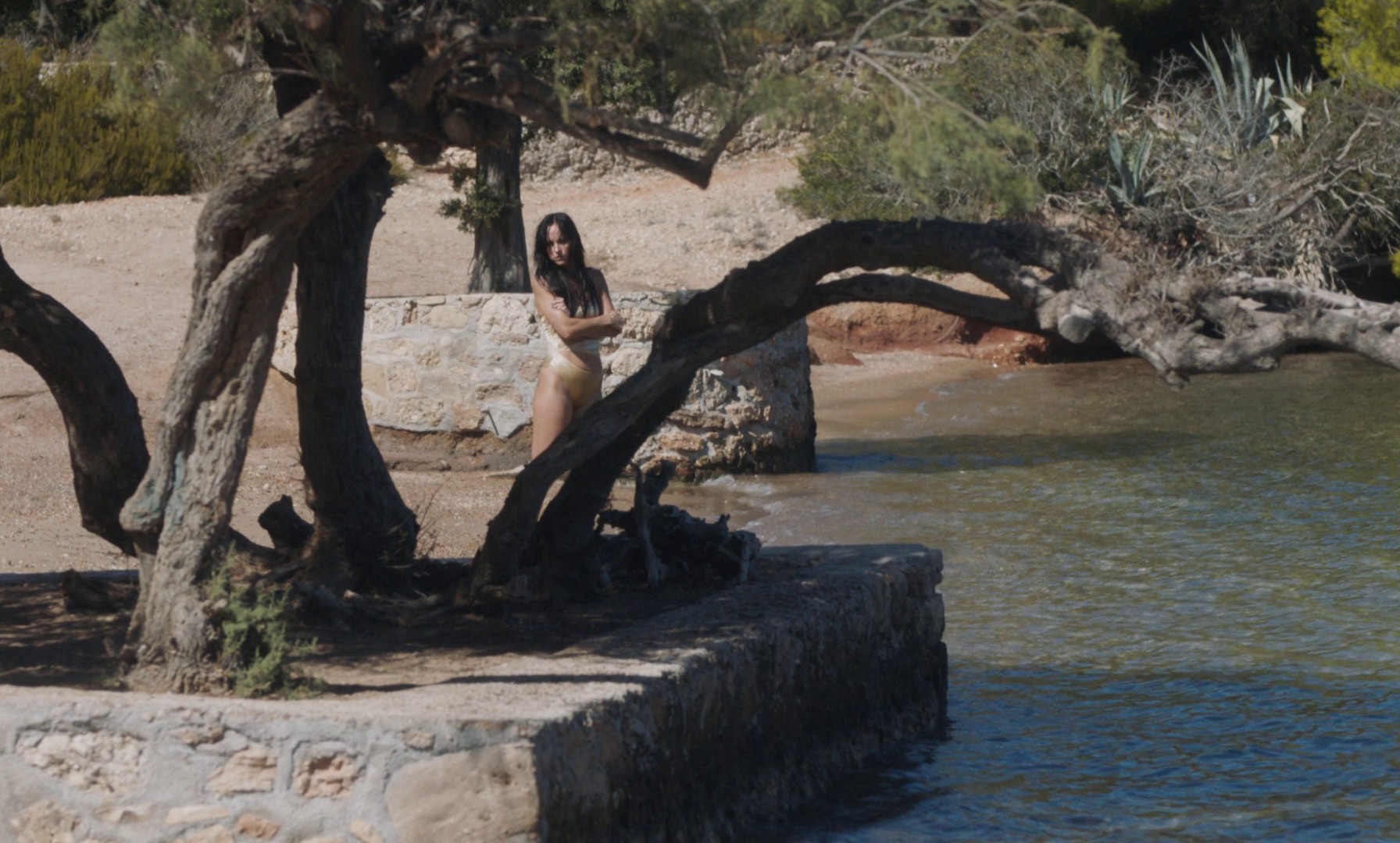 The Lost Daughter (2021) —  shot,  lighting