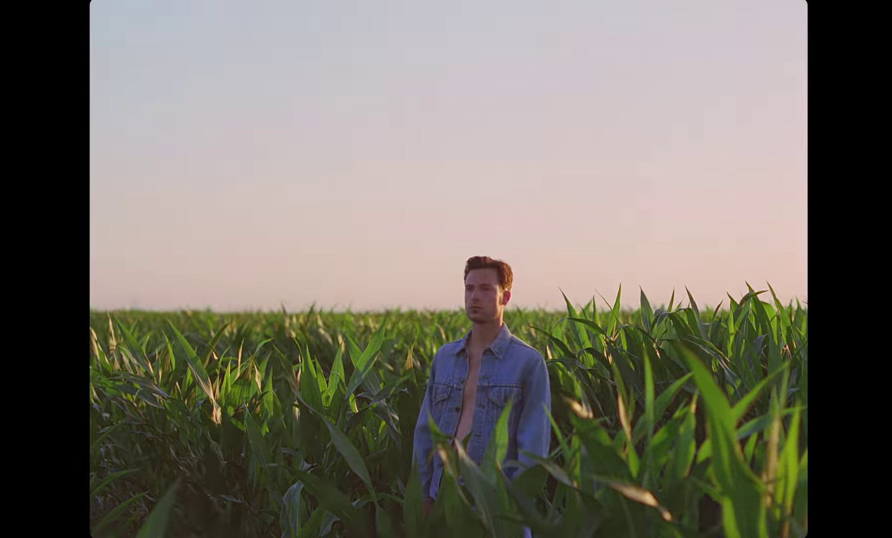 I should go (2020) —  shot,  lighting