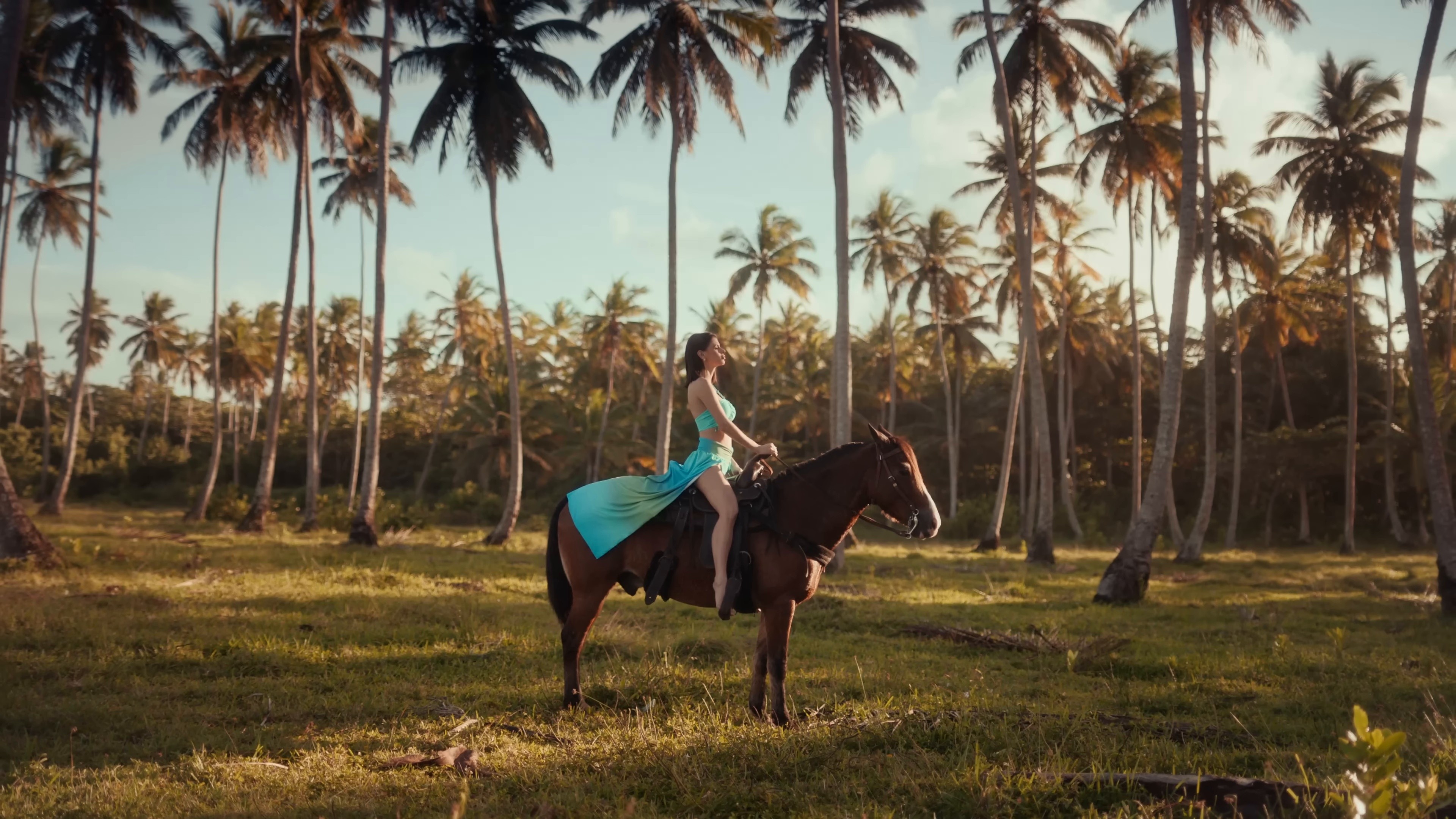 Frente al Mar (Ozuna Remix) (2024) —  shot,  lighting