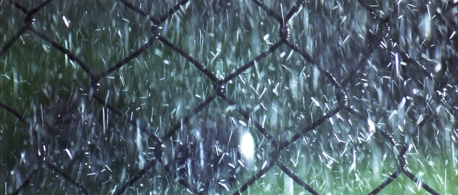 The Rookie (2002) —  shot,  lighting