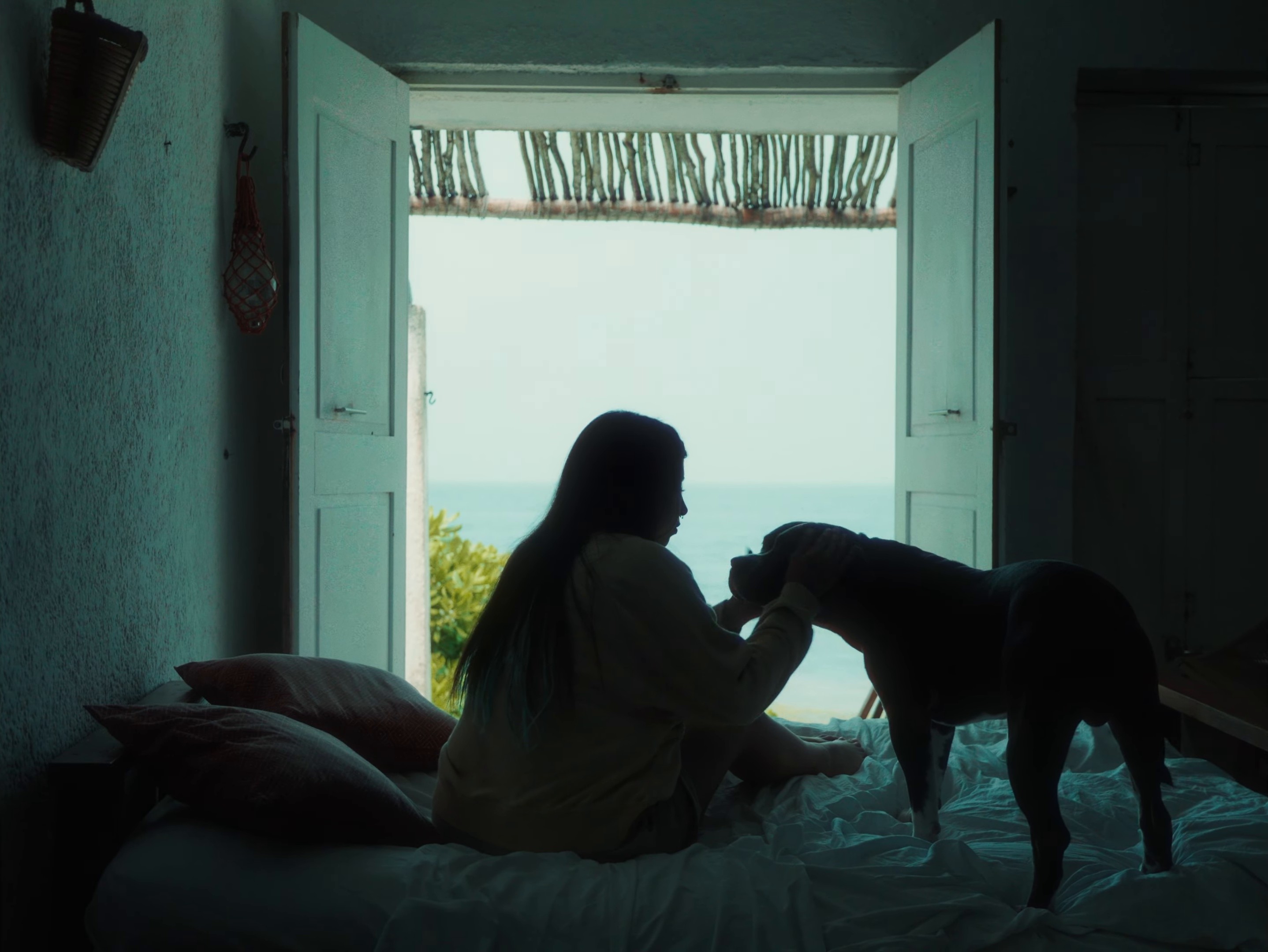 Gondwana (2024) —  shot,  lighting