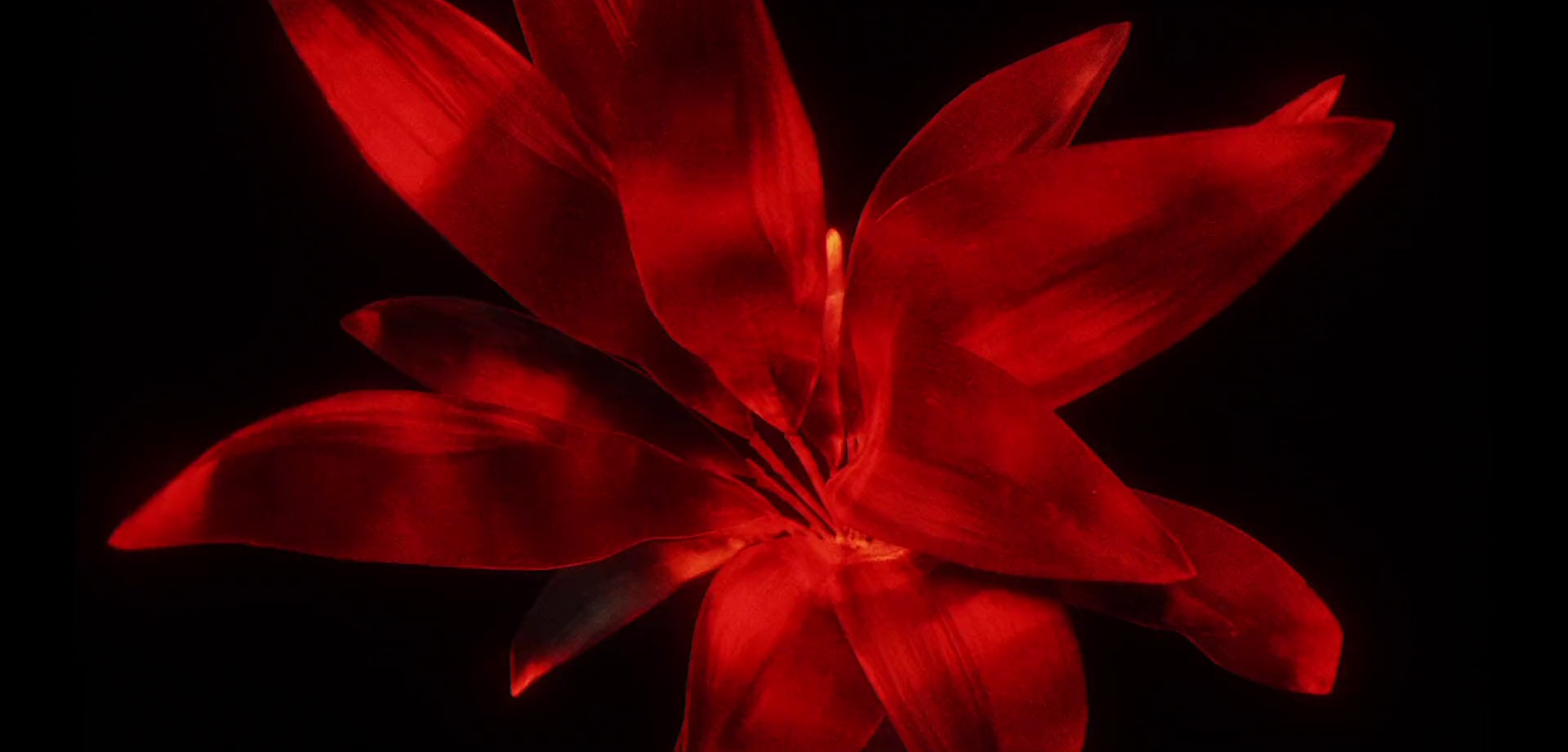 After hours  (2022) —  shot,  lighting