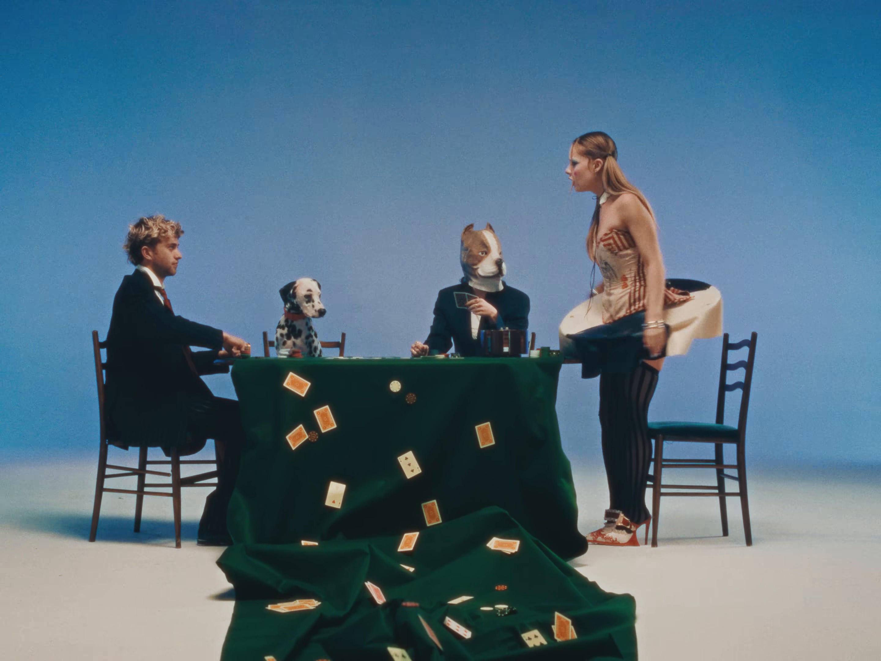 dog (2024) —  shot,  lighting