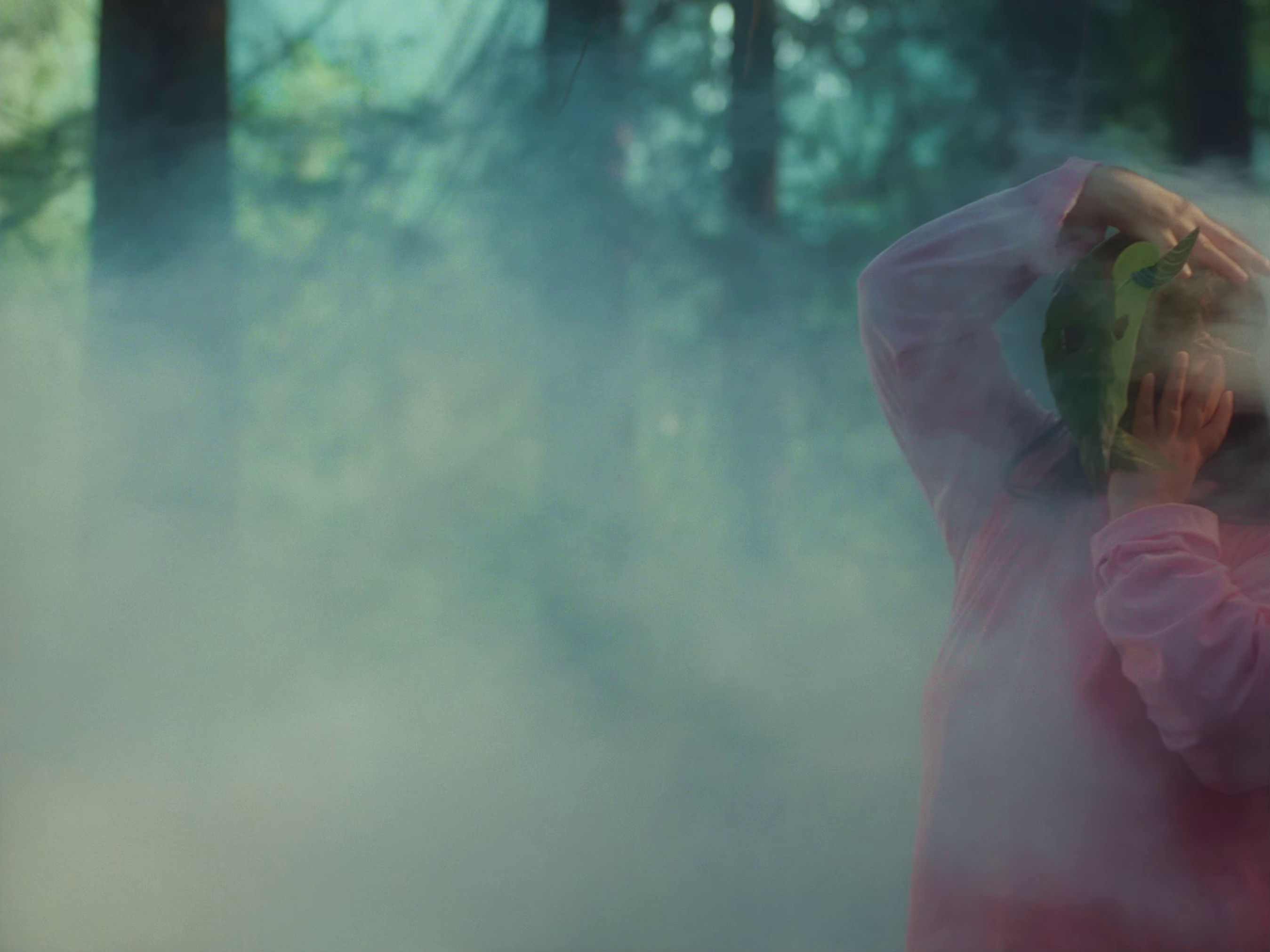 AA BOUQUET FOR YOUR 180 FACE (2024) —  shot,  lighting