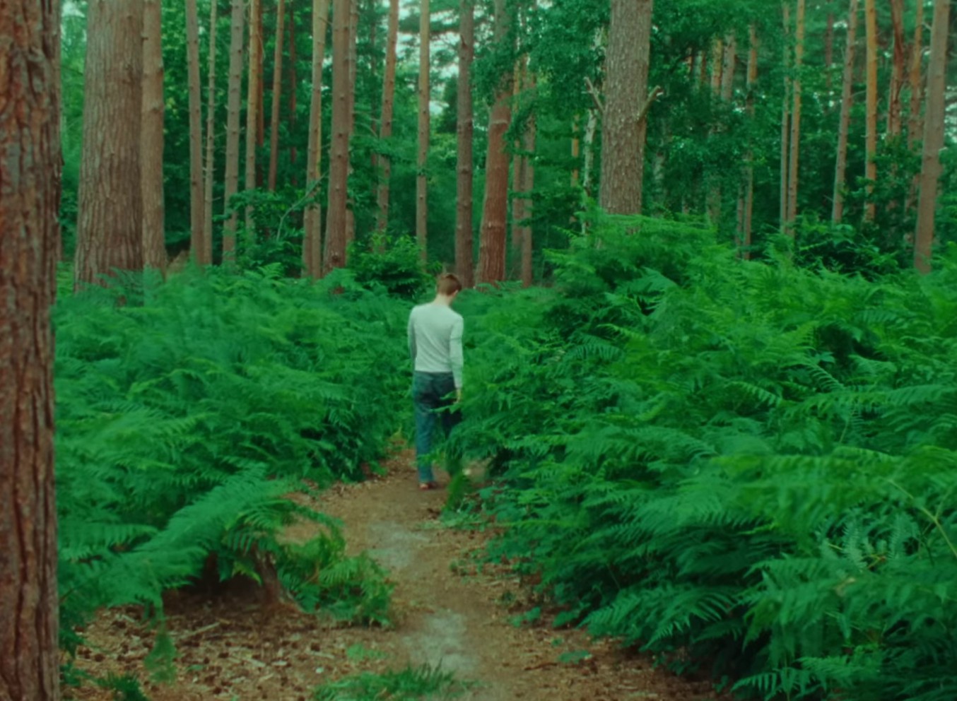 Diving (2023) —  shot,  lighting