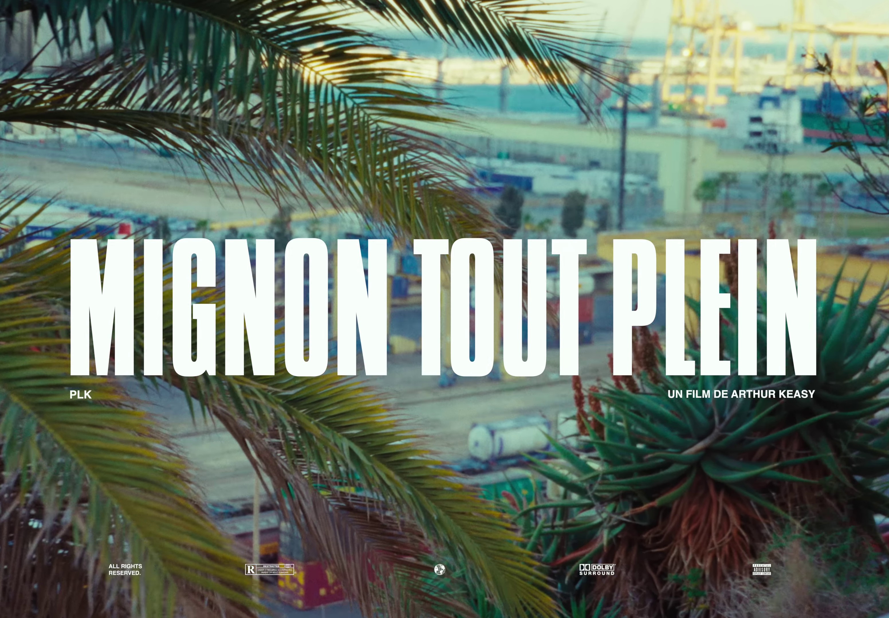 Mignon tout plein (2024) —  shot,  lighting