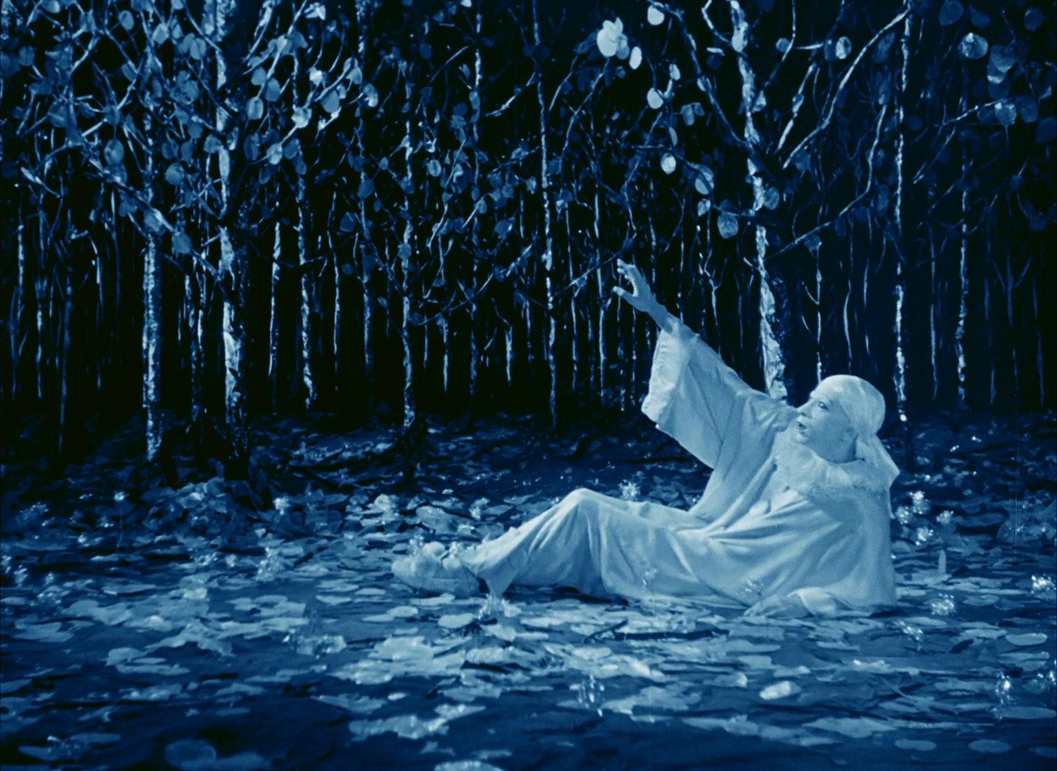 Rabbit's Moon (2009) —  shot,  lighting