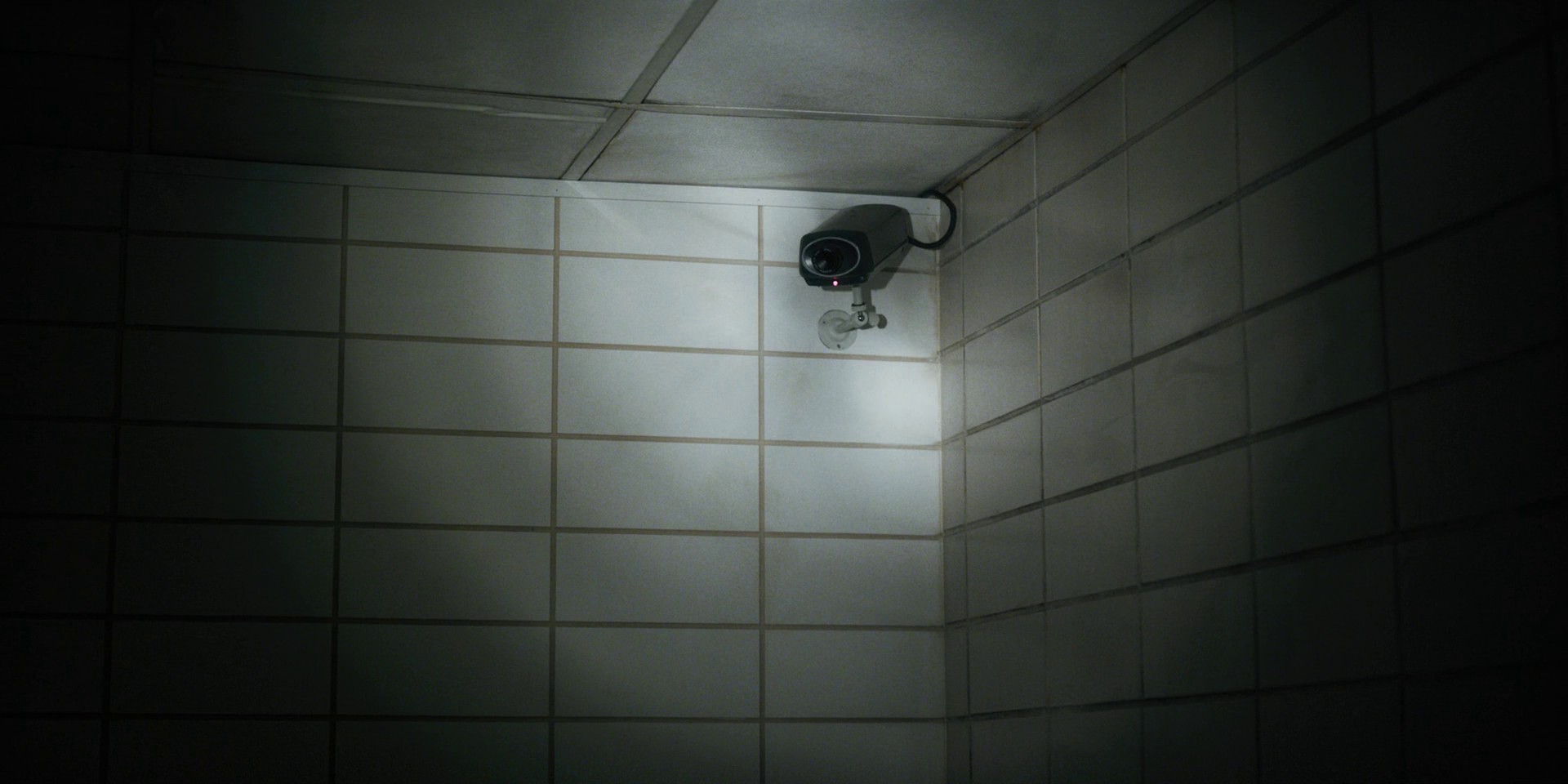 Chapter Five: The Flea and the Acrobat (2016) —  shot,  lighting