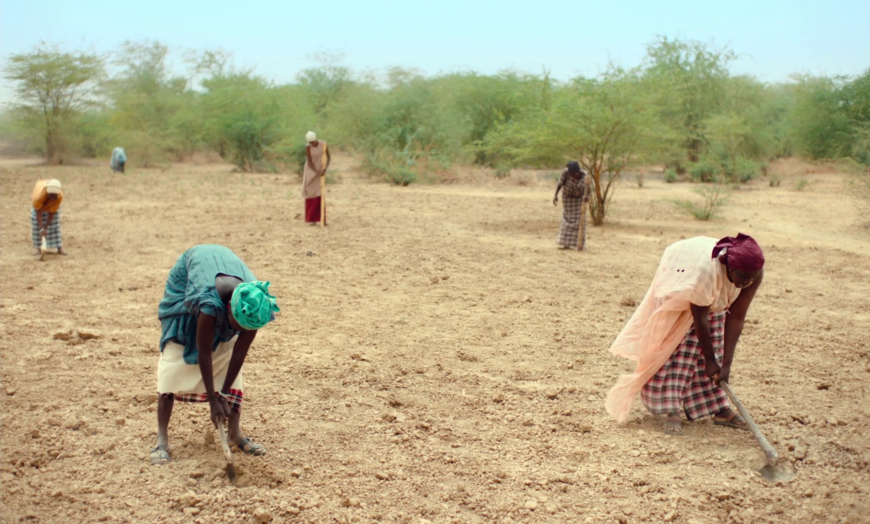 Banel & Adama (2023) —  shot,  lighting