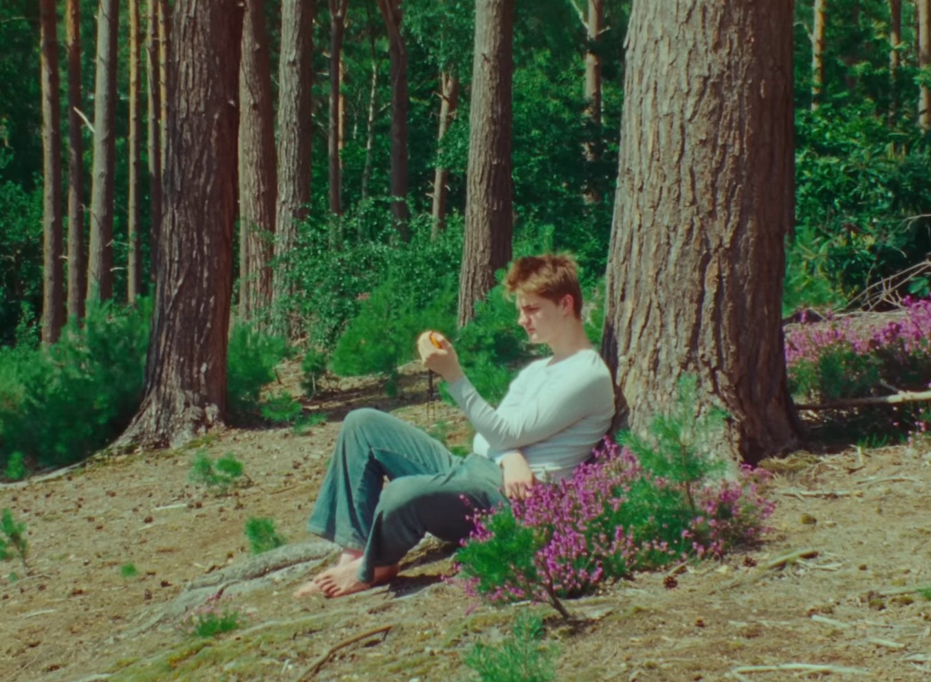 Diving (2023) —  shot,  lighting