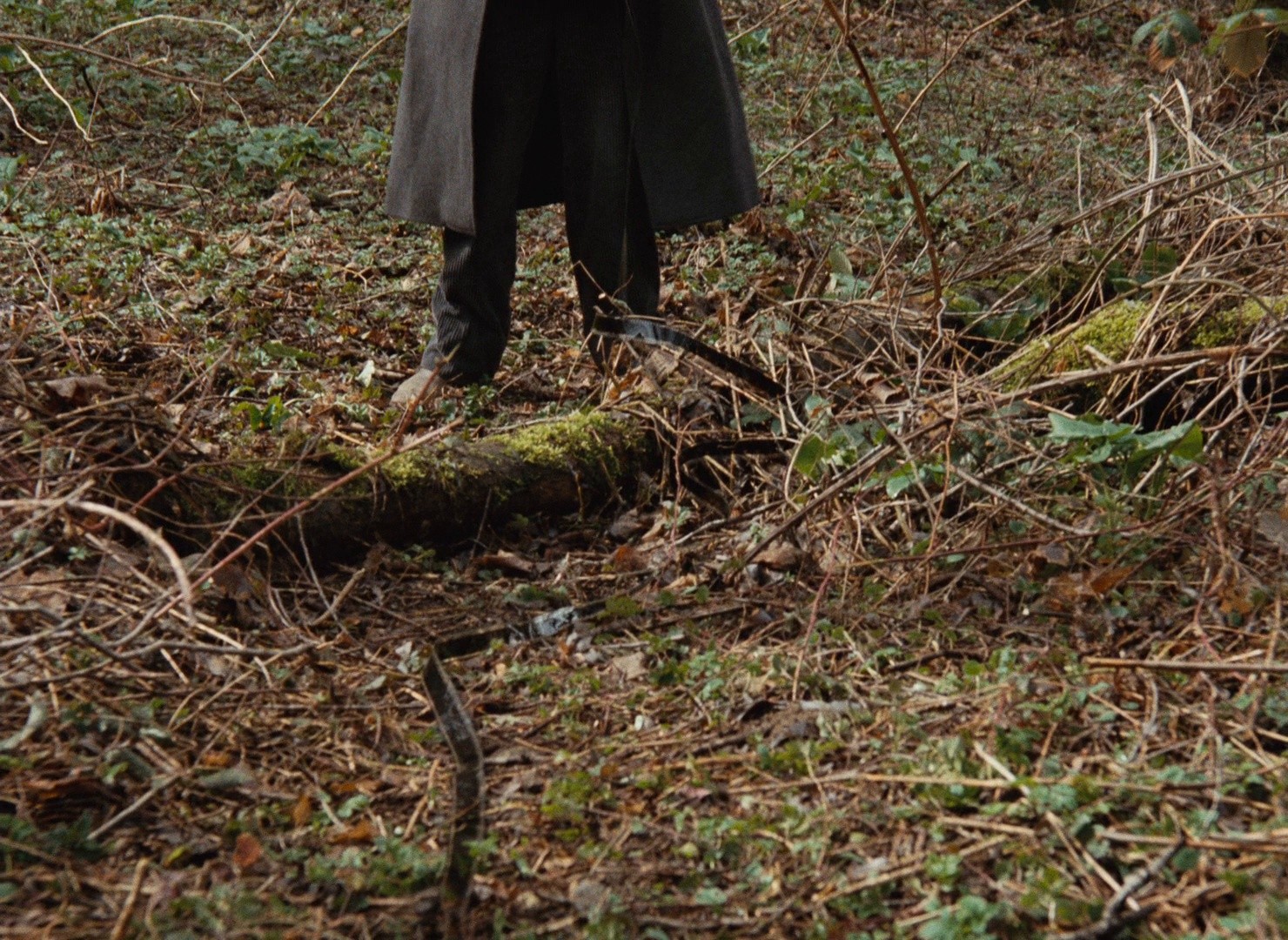 King Lear (2002) —  shot,  lighting