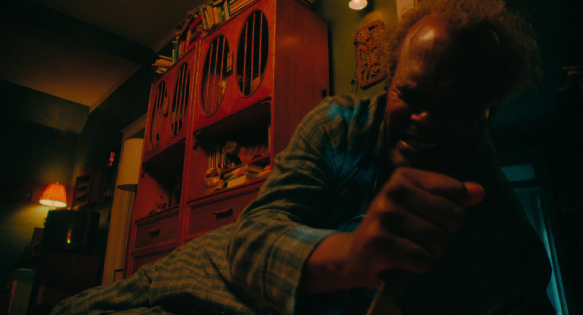 Coydog (2022) —  shot,  lighting