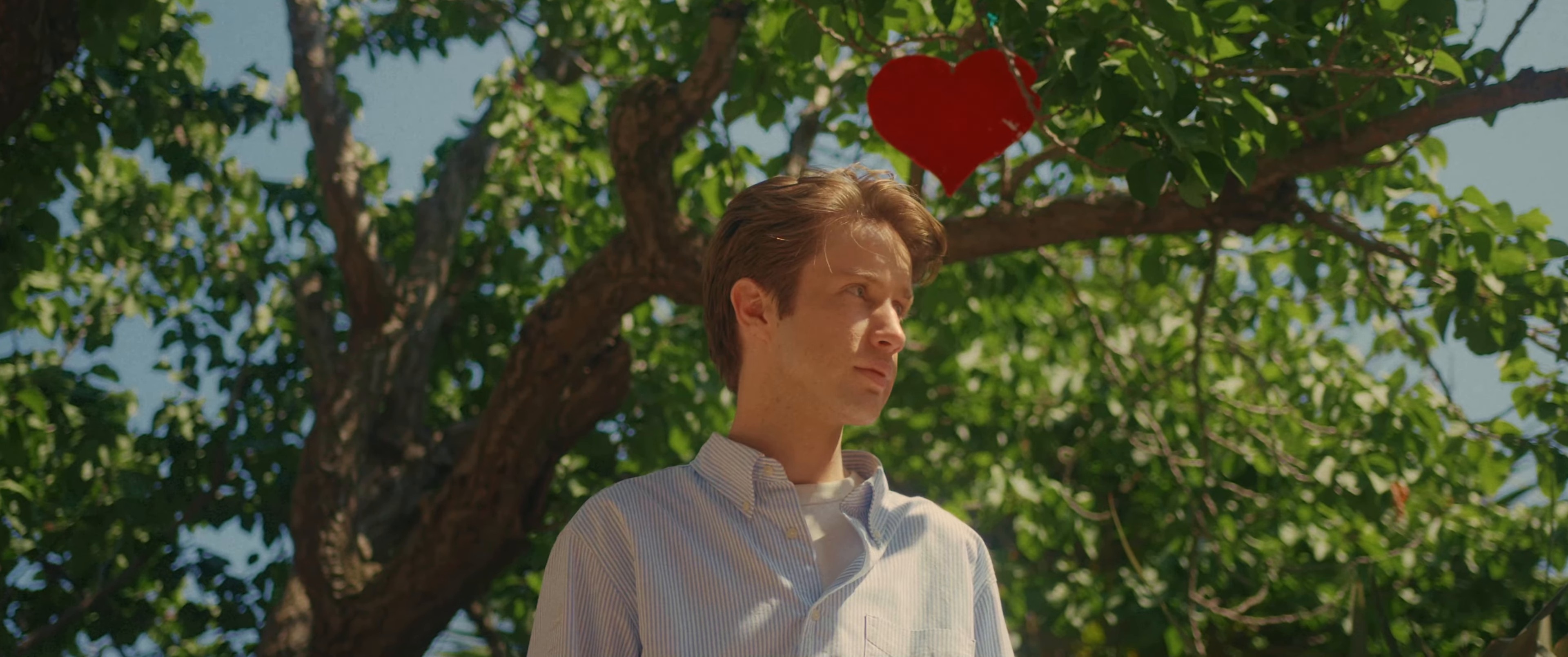 Monaco (2024) —  shot,  lighting