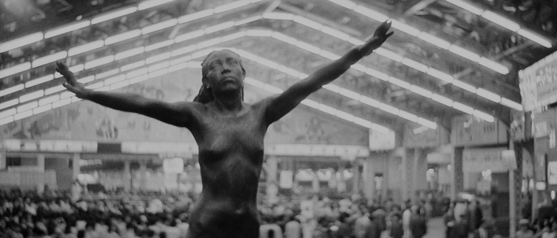 Pale Flower (2023) —  shot,  lighting