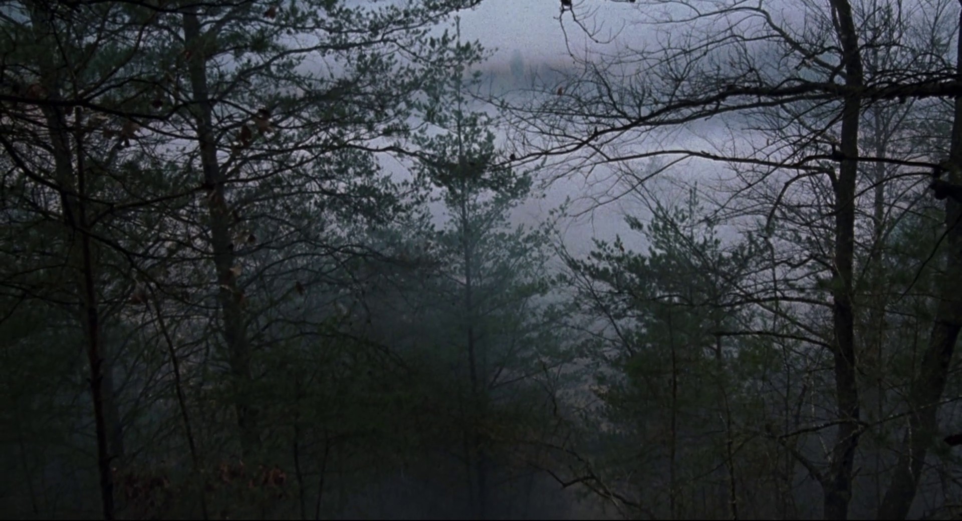 The Silence of the Lambs (1991) —  shot,  lighting