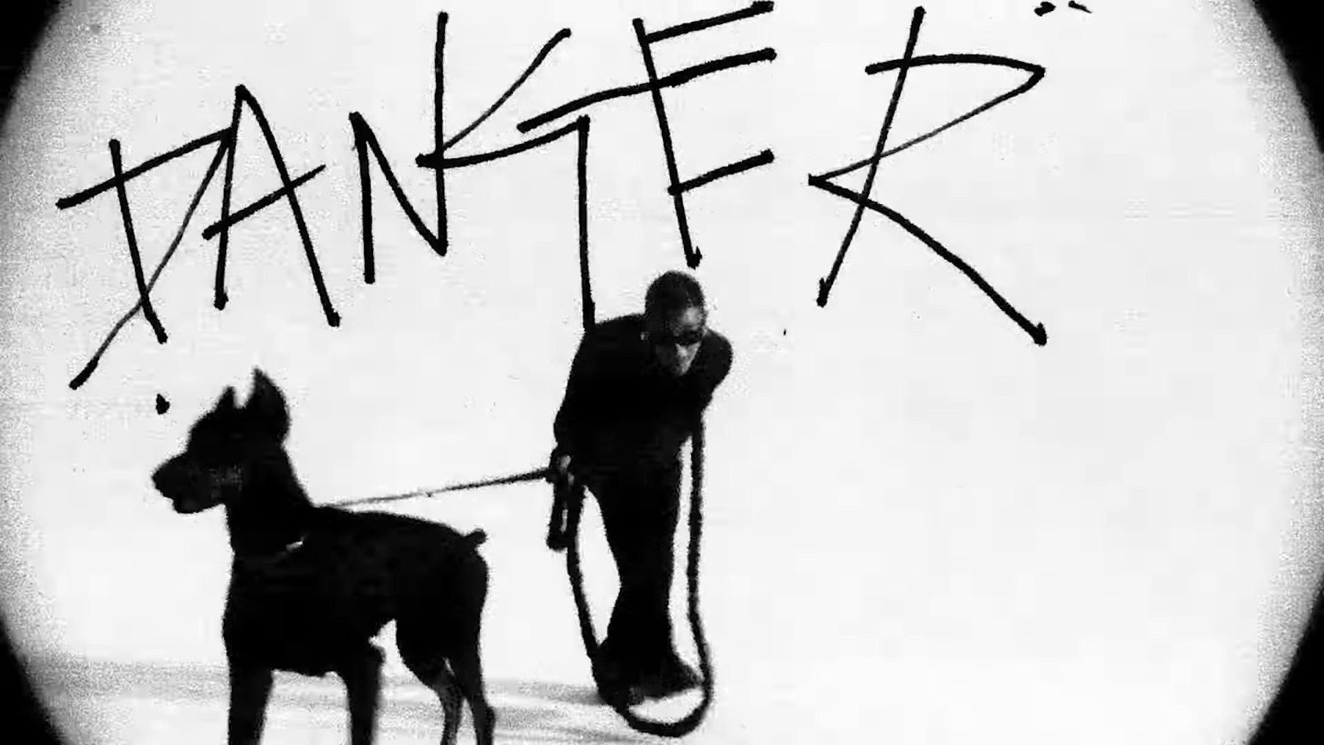 Danger  (2022) —  shot,  lighting