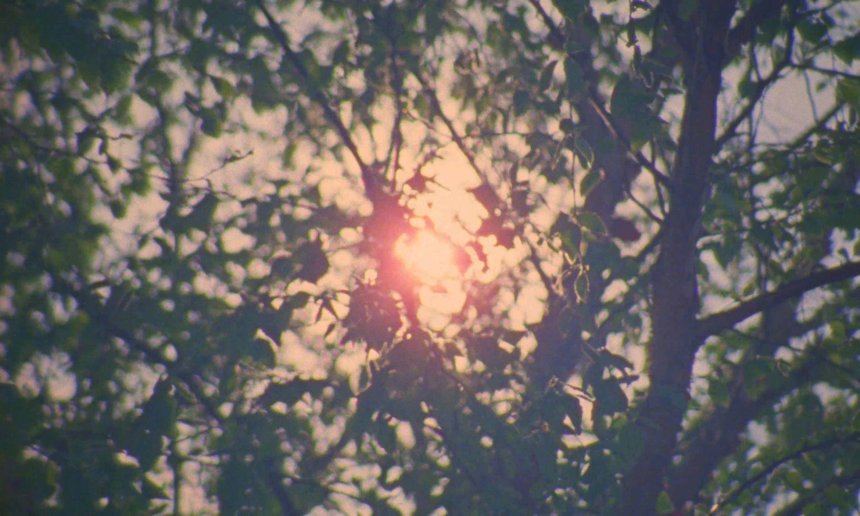 Youth Sport Trust - Empty Playgrounds (2024) —  shot,  lighting
