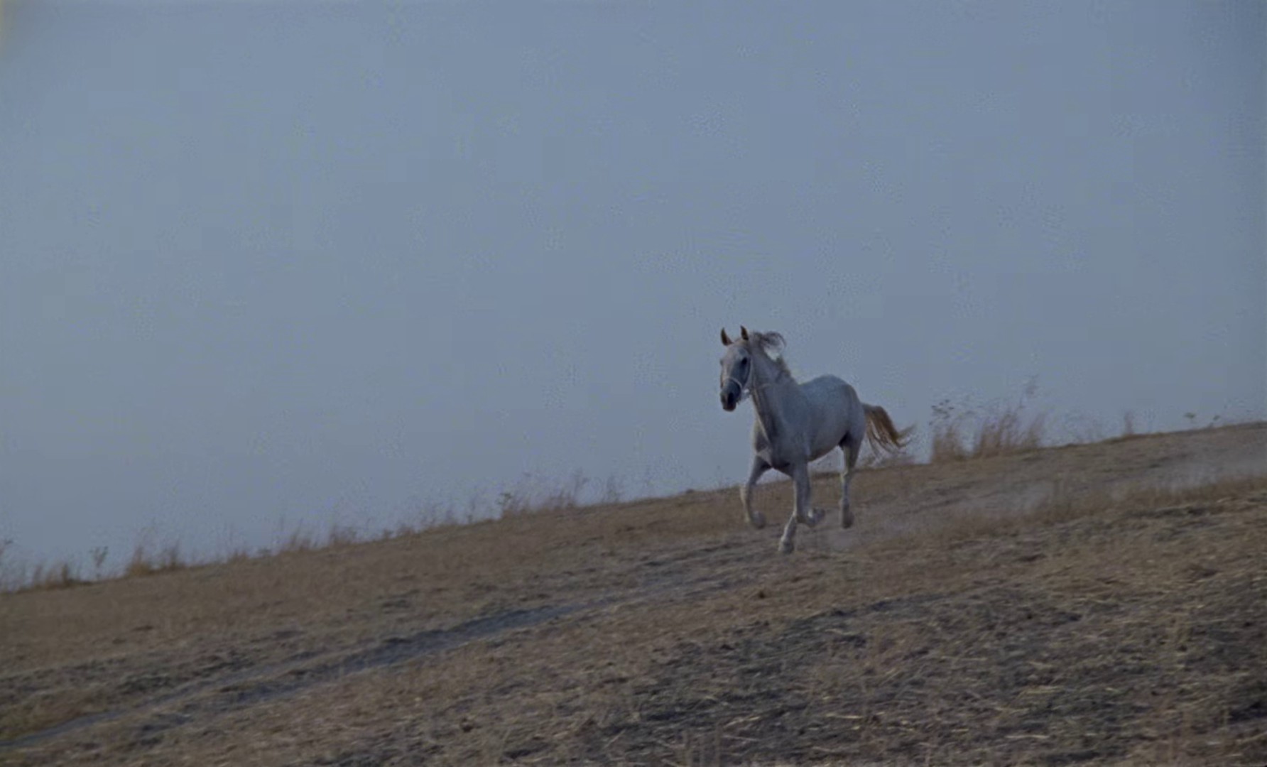 ISMAK (2021) —  shot,  lighting