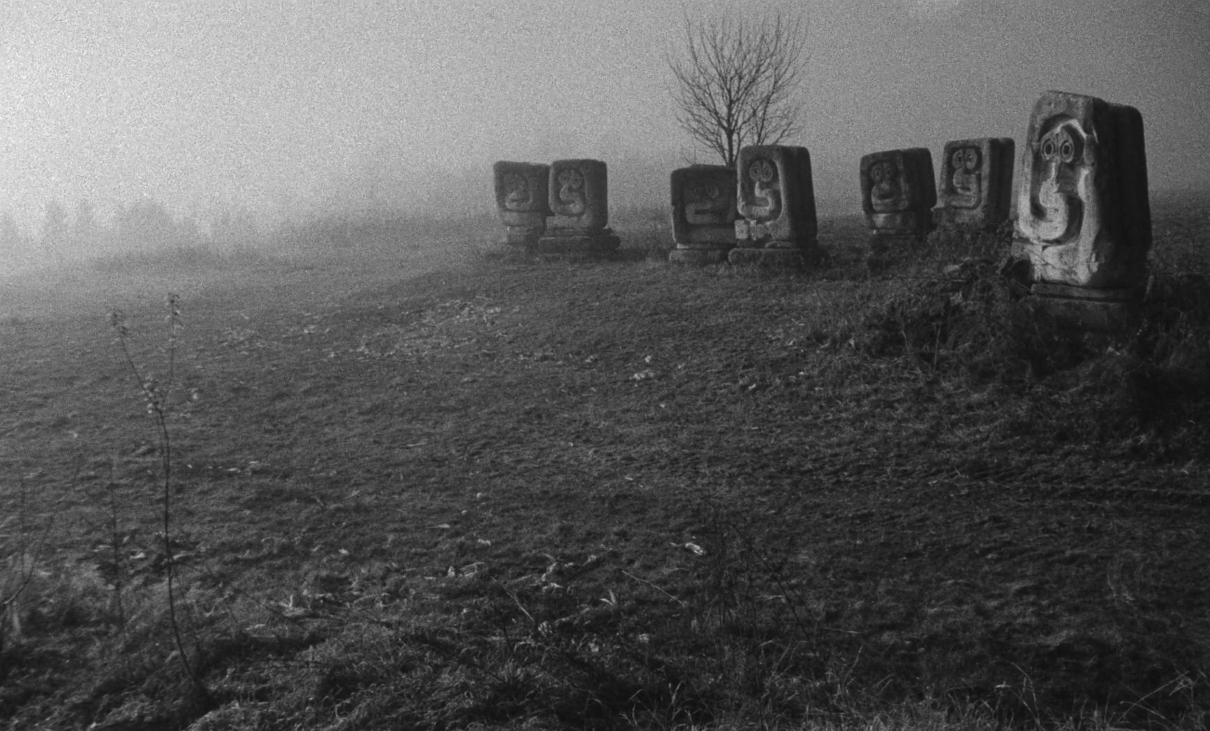 Last and First Men (2020) —  shot,  lighting