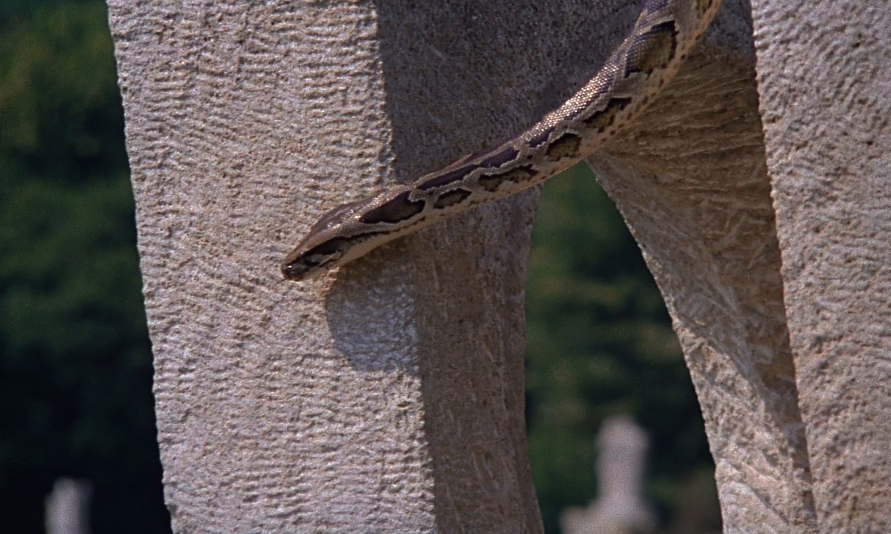 In the Dust of the Stars (1976) —  shot,  lighting