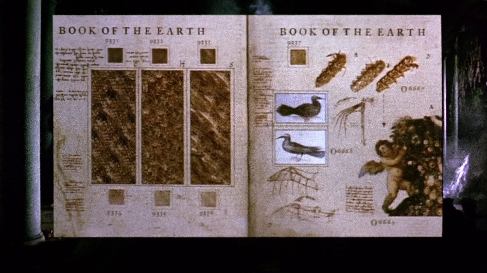 Prospero's Books (1991) —  shot,  lighting