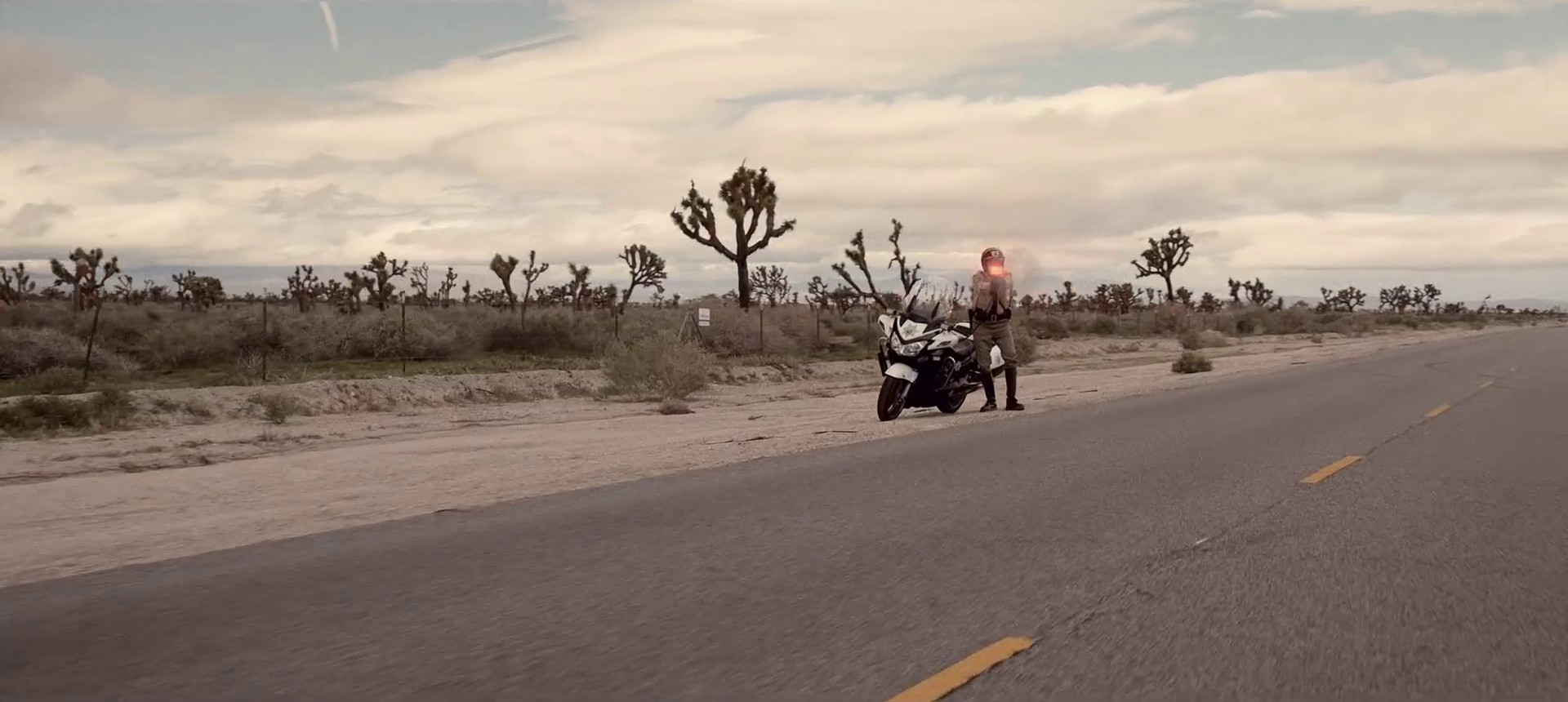 Perfect Pint  (2017) —  shot,  lighting