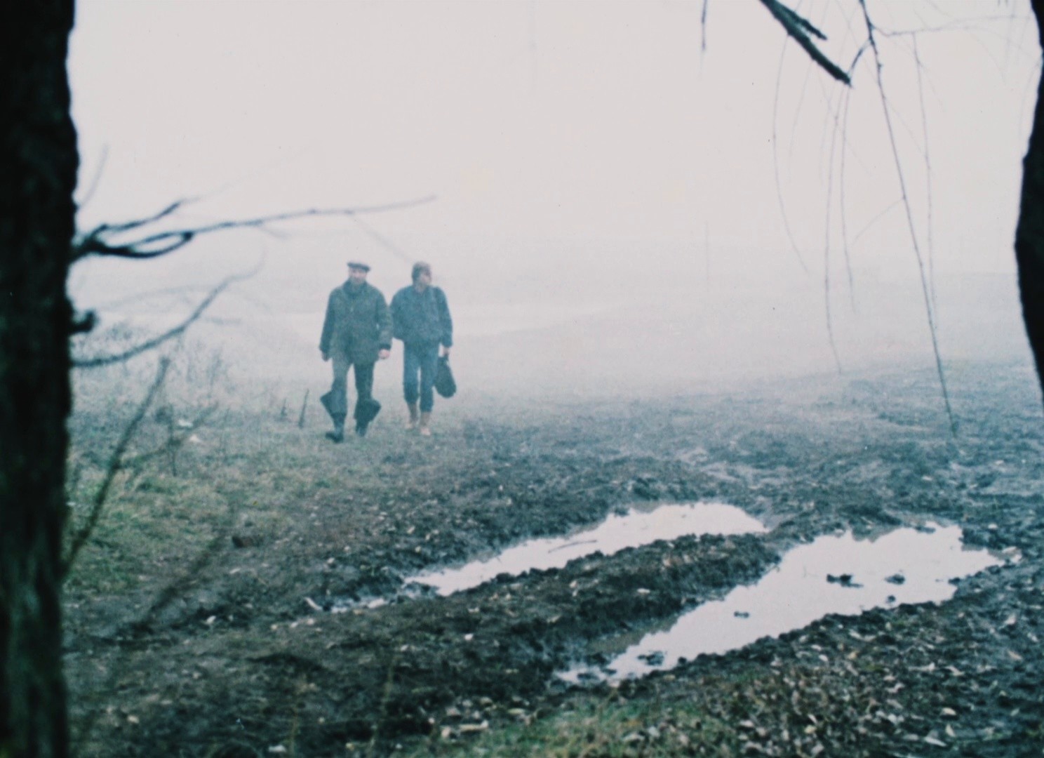 Semya vurdalakov (1990) —  shot,  lighting