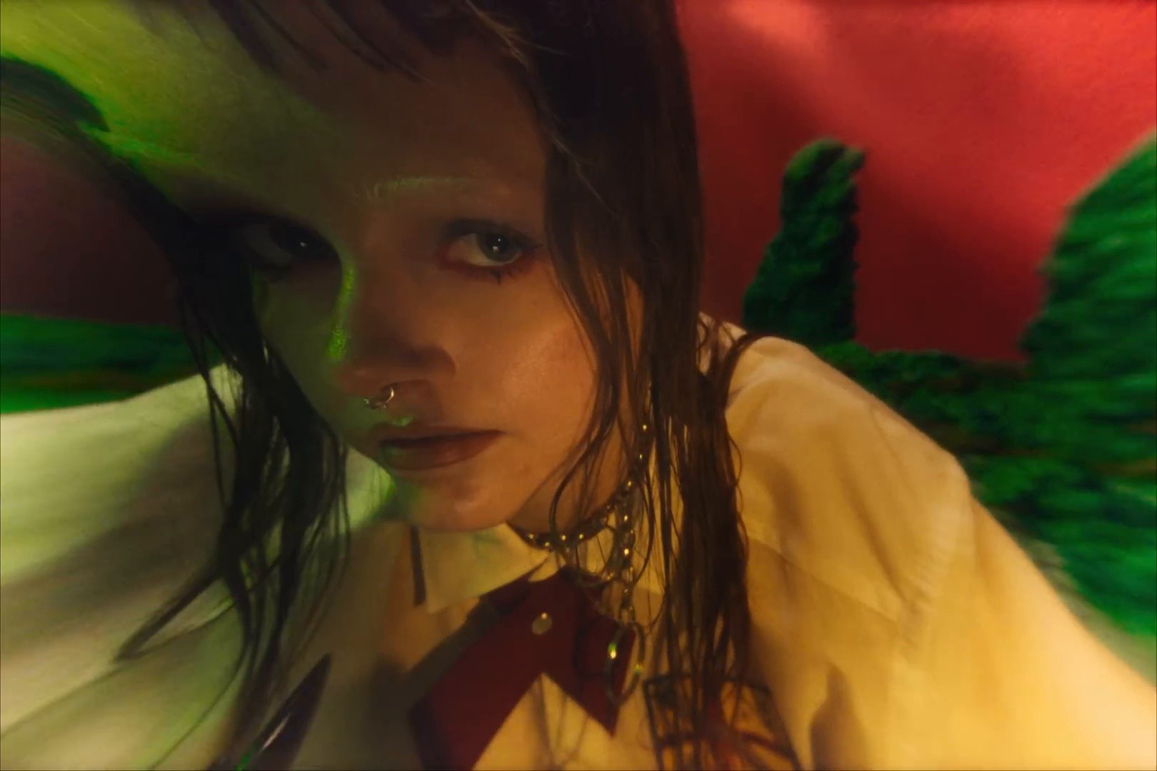 n'as tu jamais vu d'oiseaux?  (Clip Officiel) (2025) —  shot,  lighting