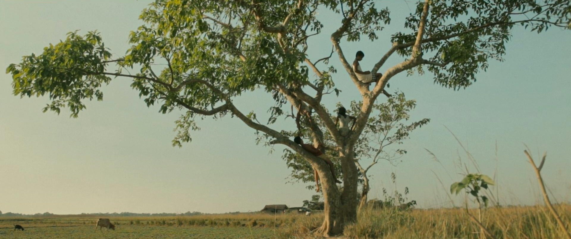 Village Rockstars (2018) —  shot,  lighting