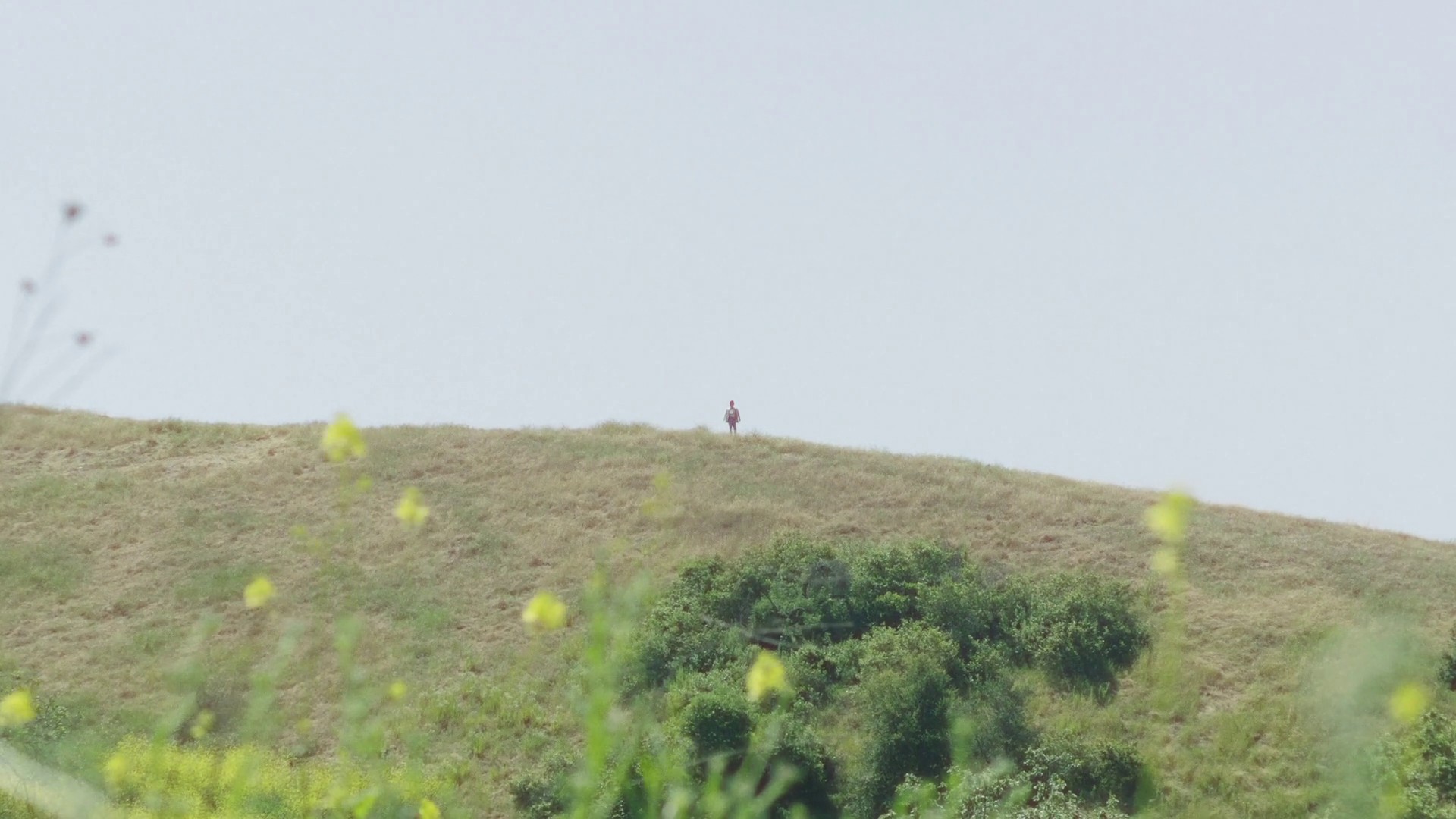 Settled In (2020) —  shot,  lighting