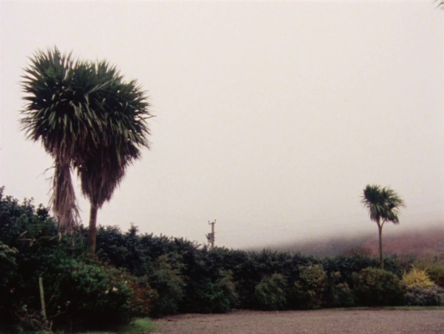 The Falls (1980) —  shot,  lighting